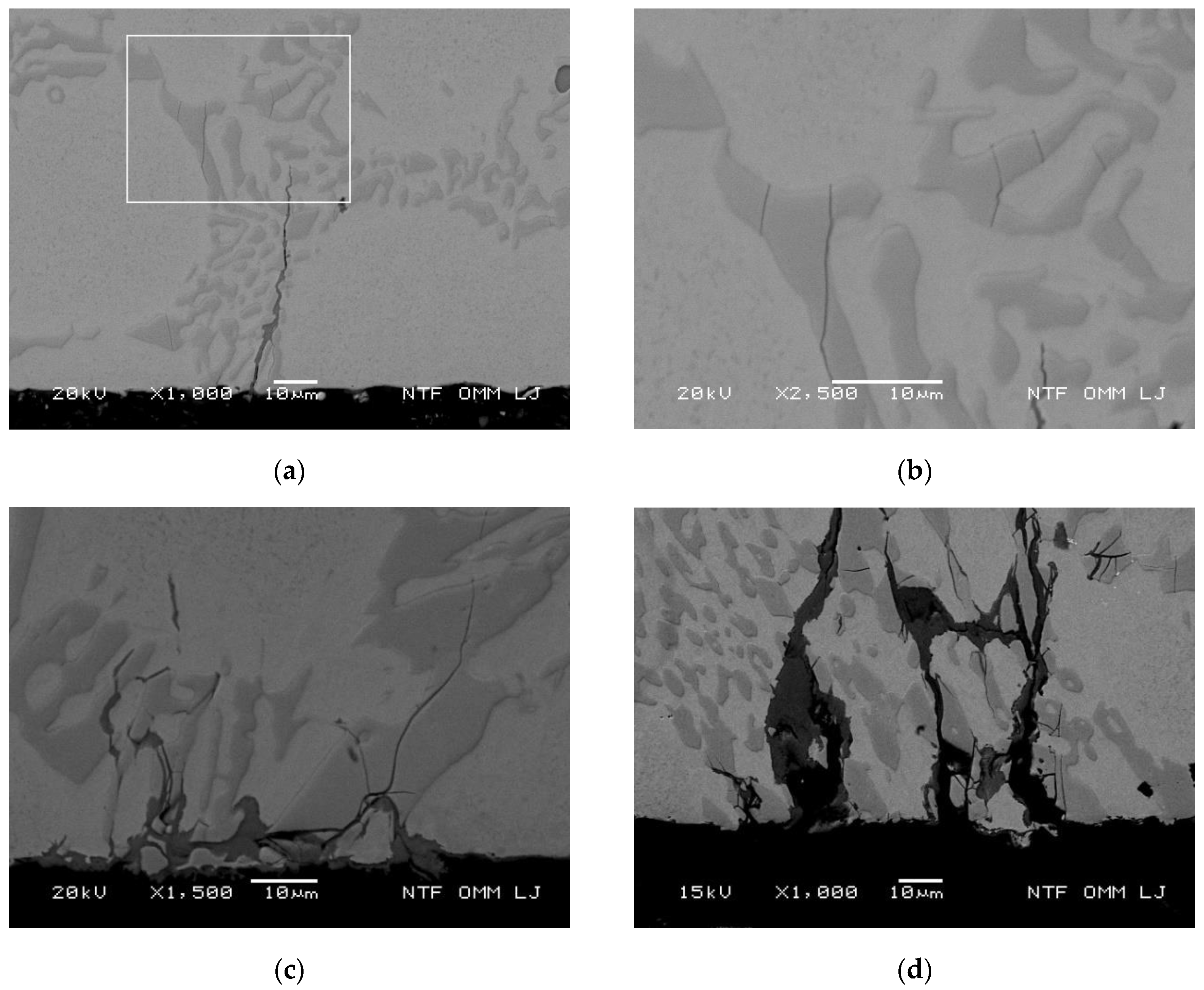 Metals 10 00450 g005a