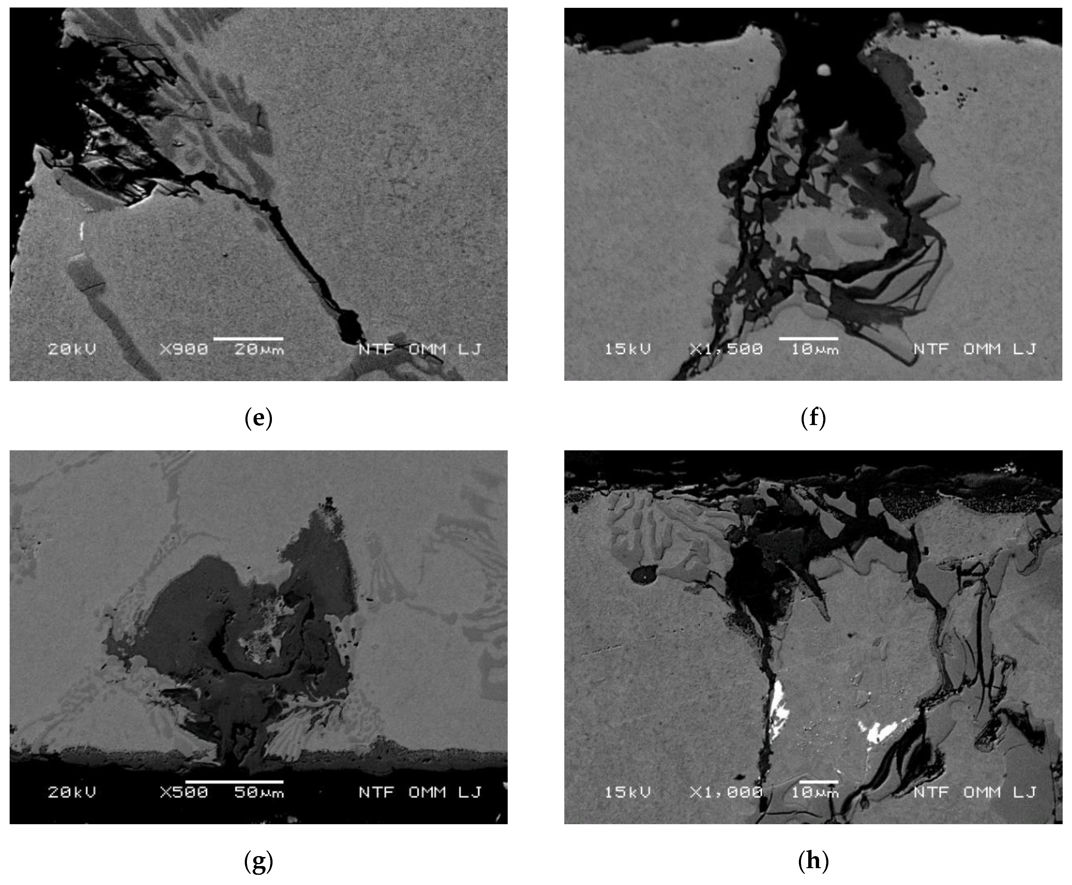 Metals 10 00450 g005b
