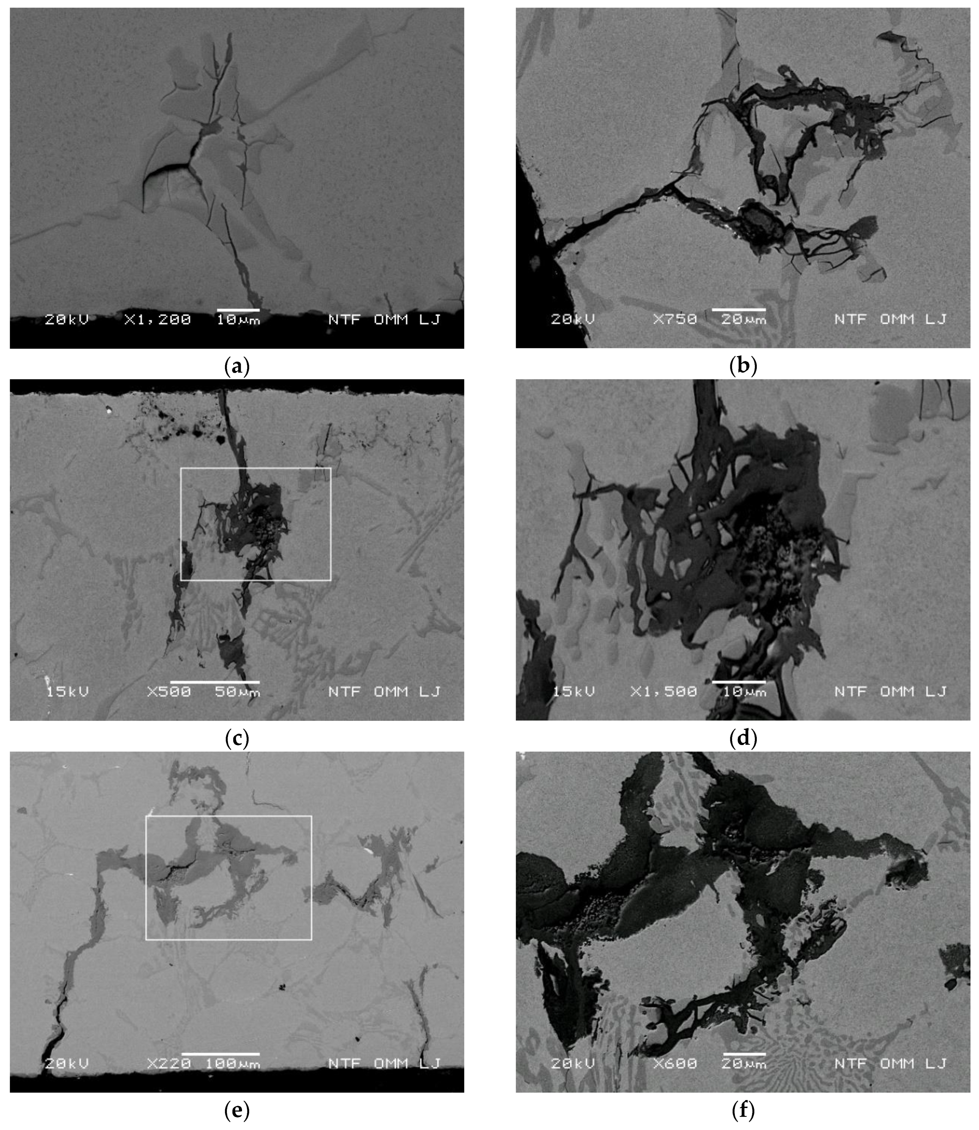 Metals 10 00450 g006