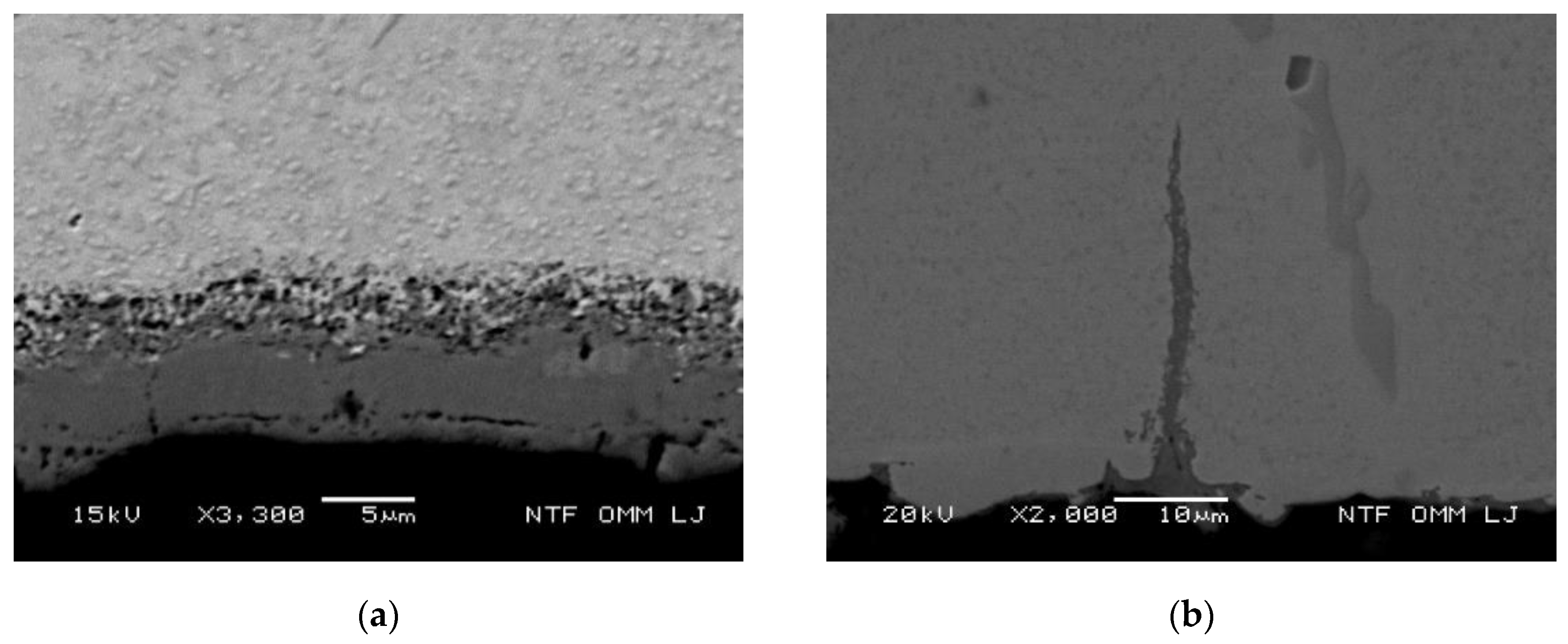 Metals 10 00450 g007a