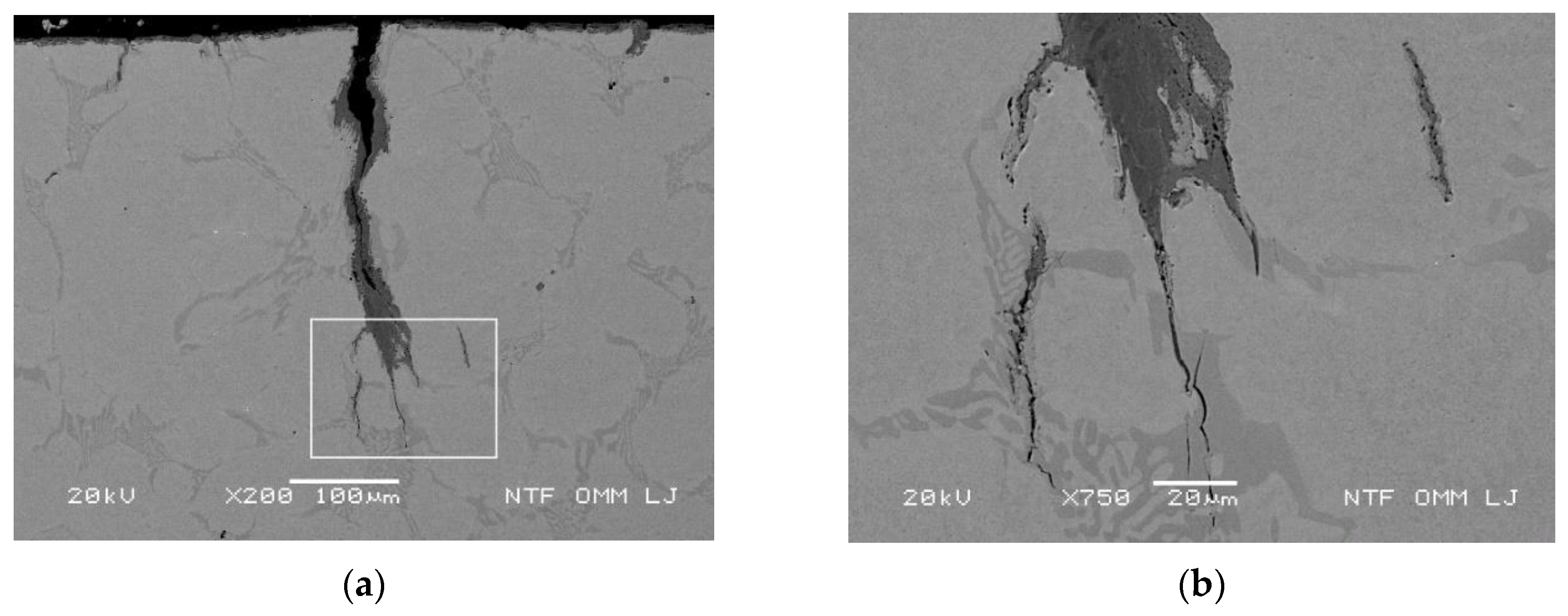 Metals 10 00450 g009