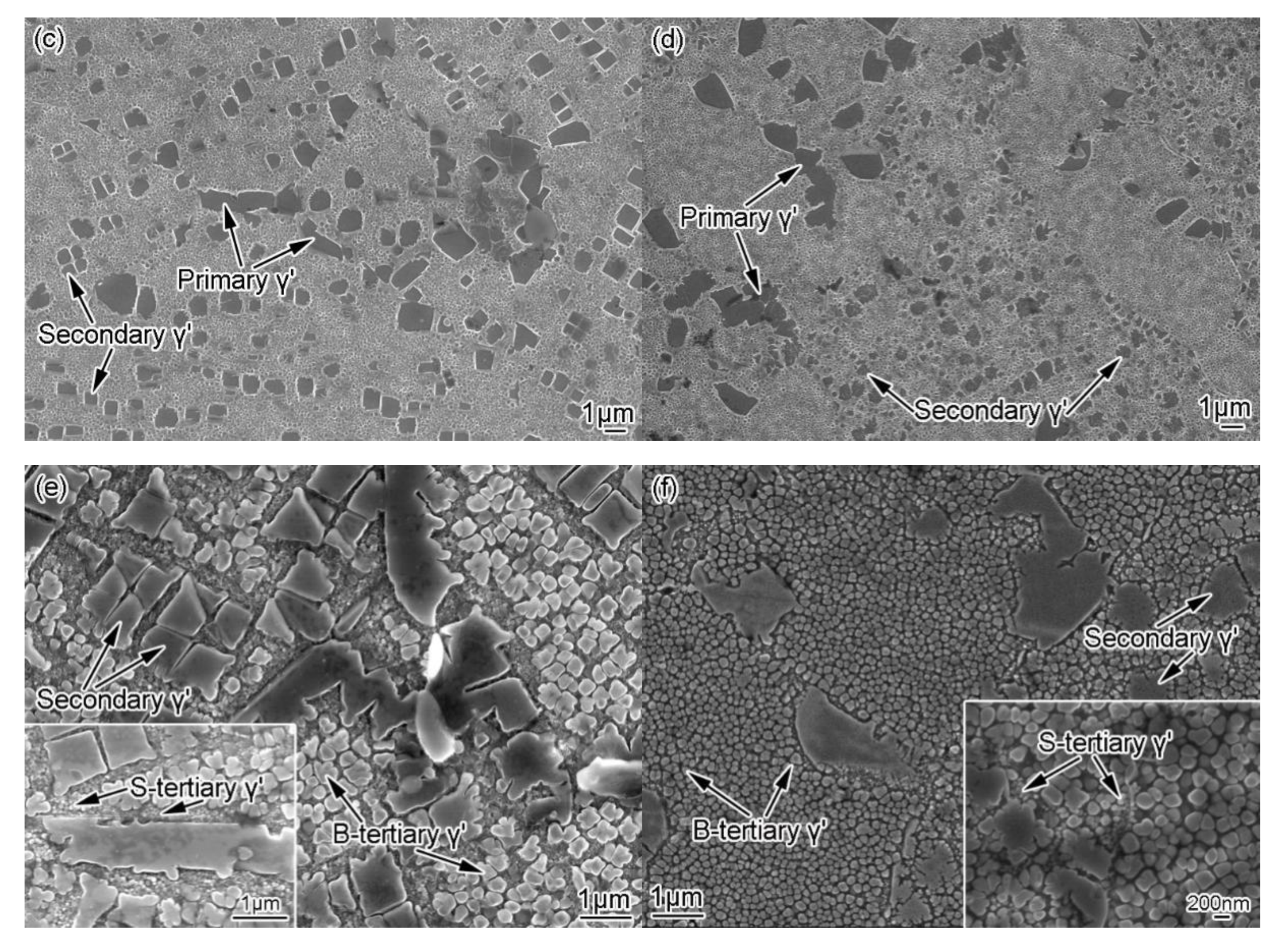 Metals 10 00454 g003b