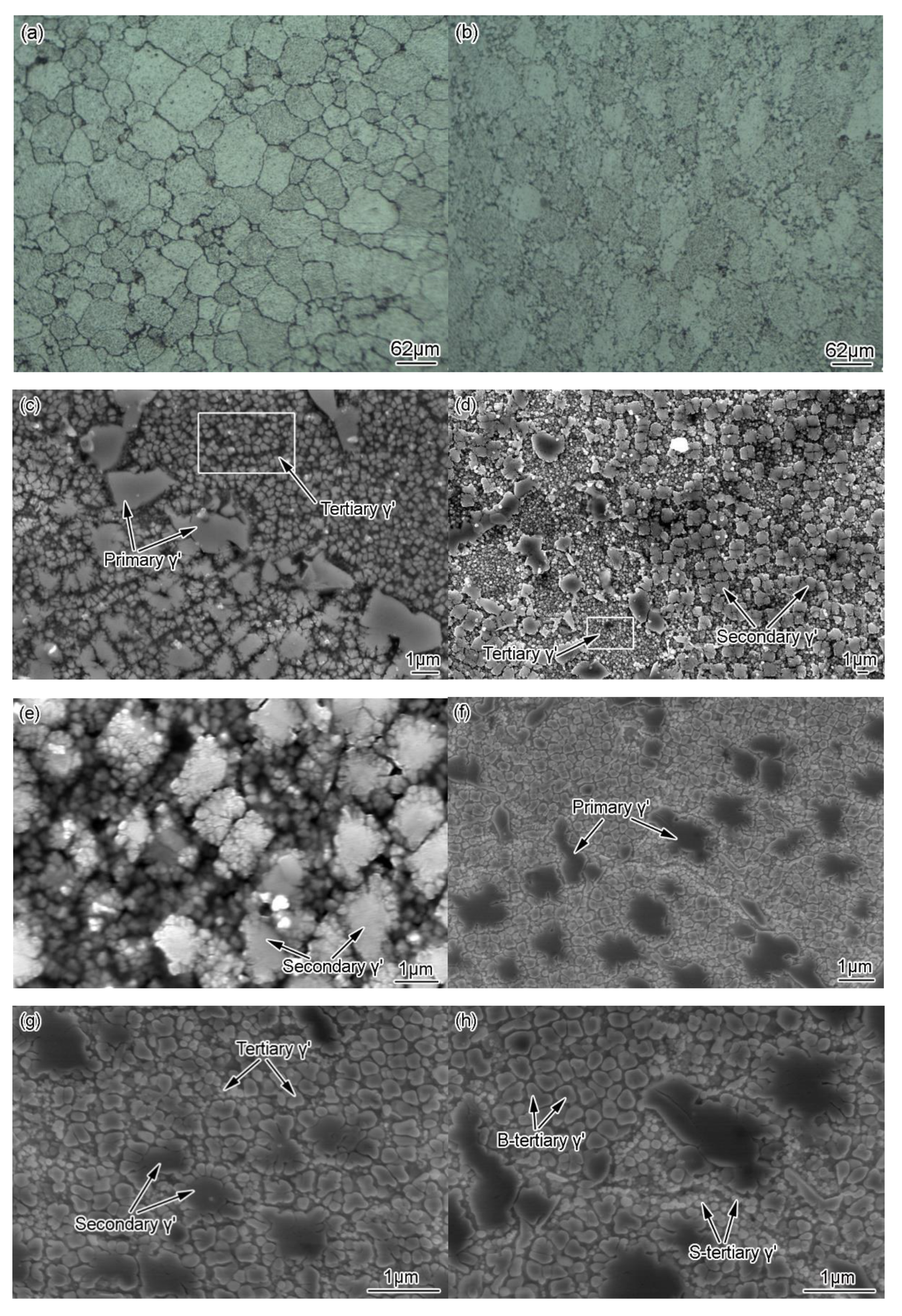 Metals 10 00454 g004