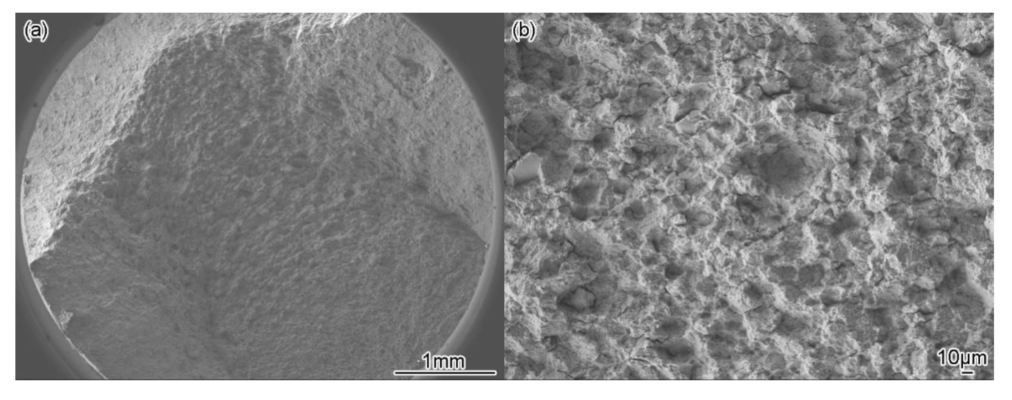 Metals 10 00454 g006a