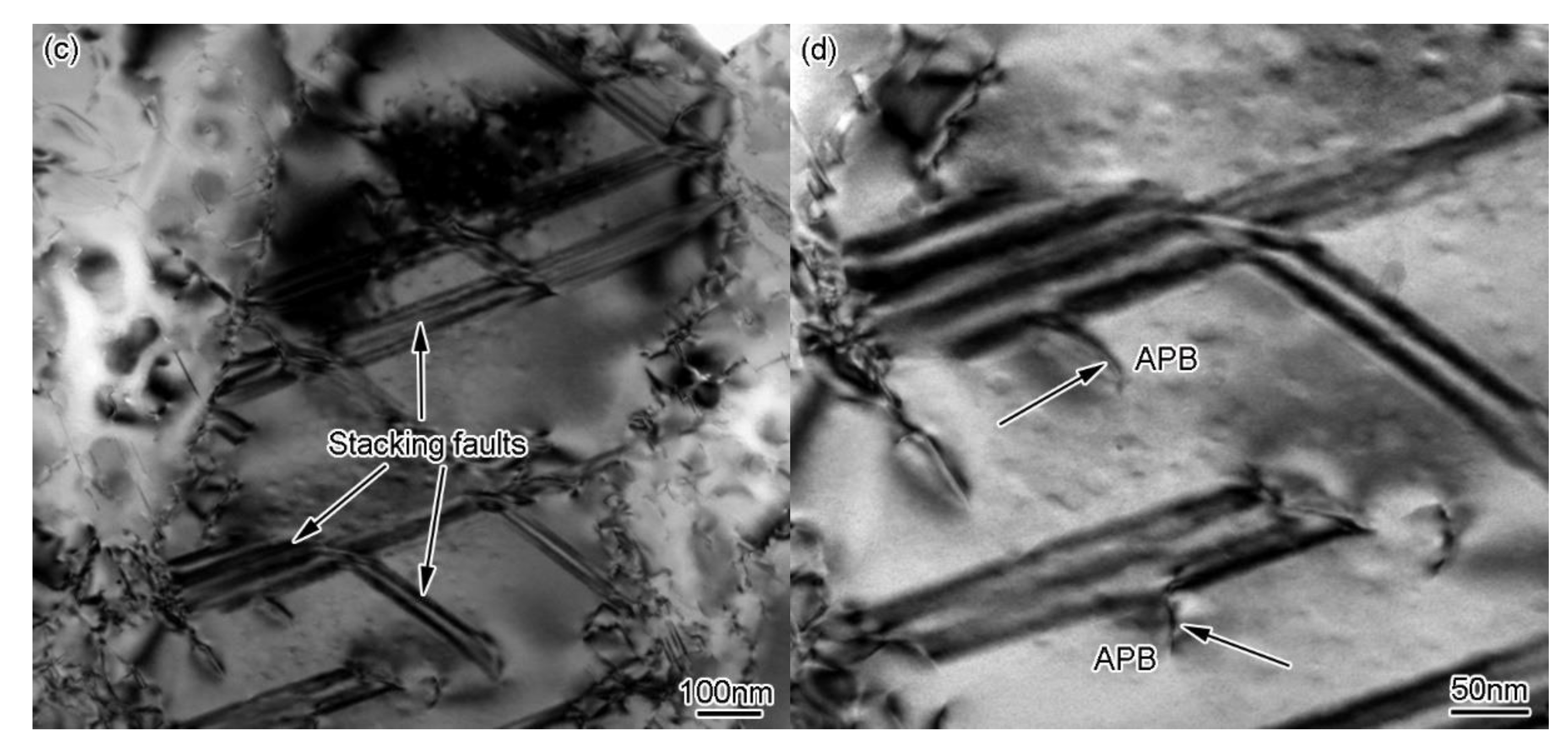 Metals 10 00454 g009b
