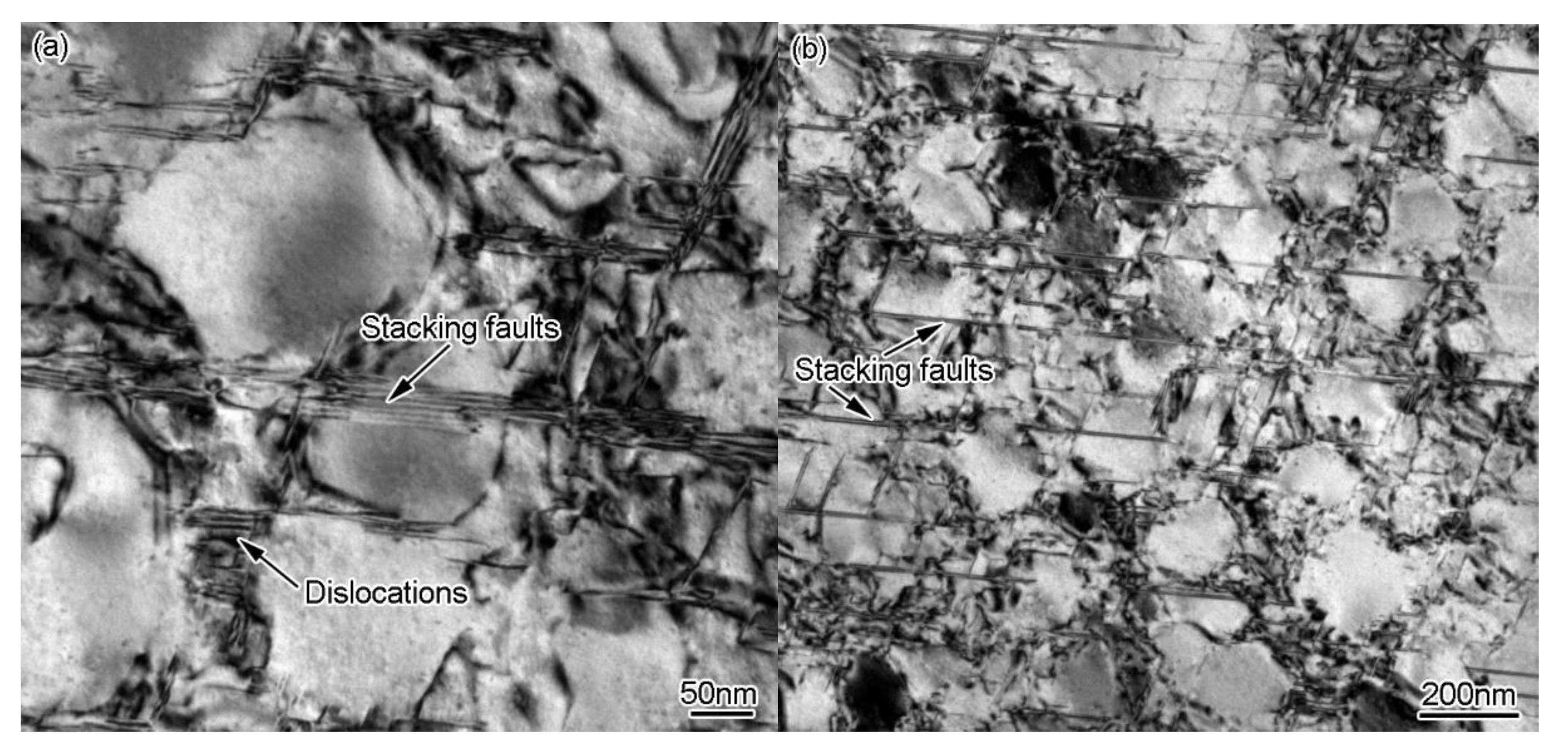 Metals 10 00454 g010a