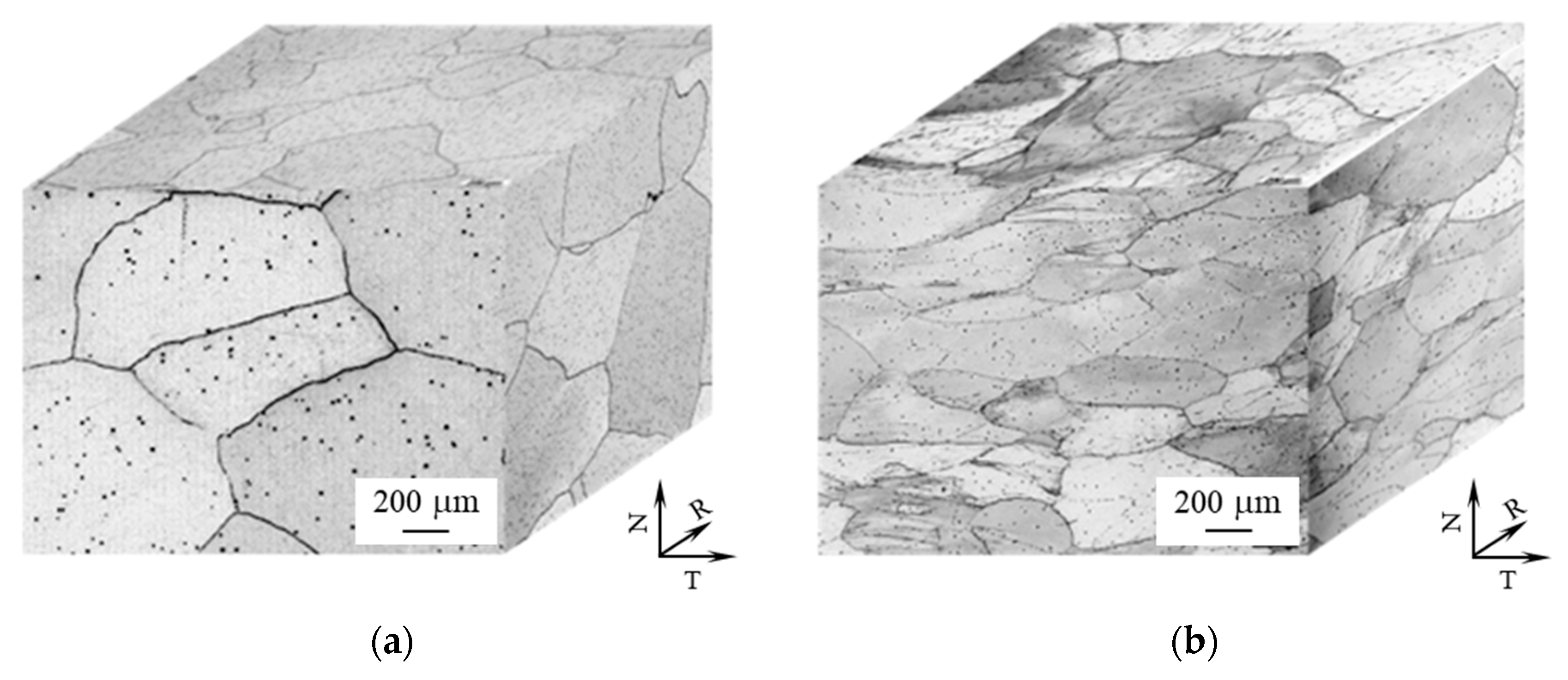 Metals 10 00463 g002