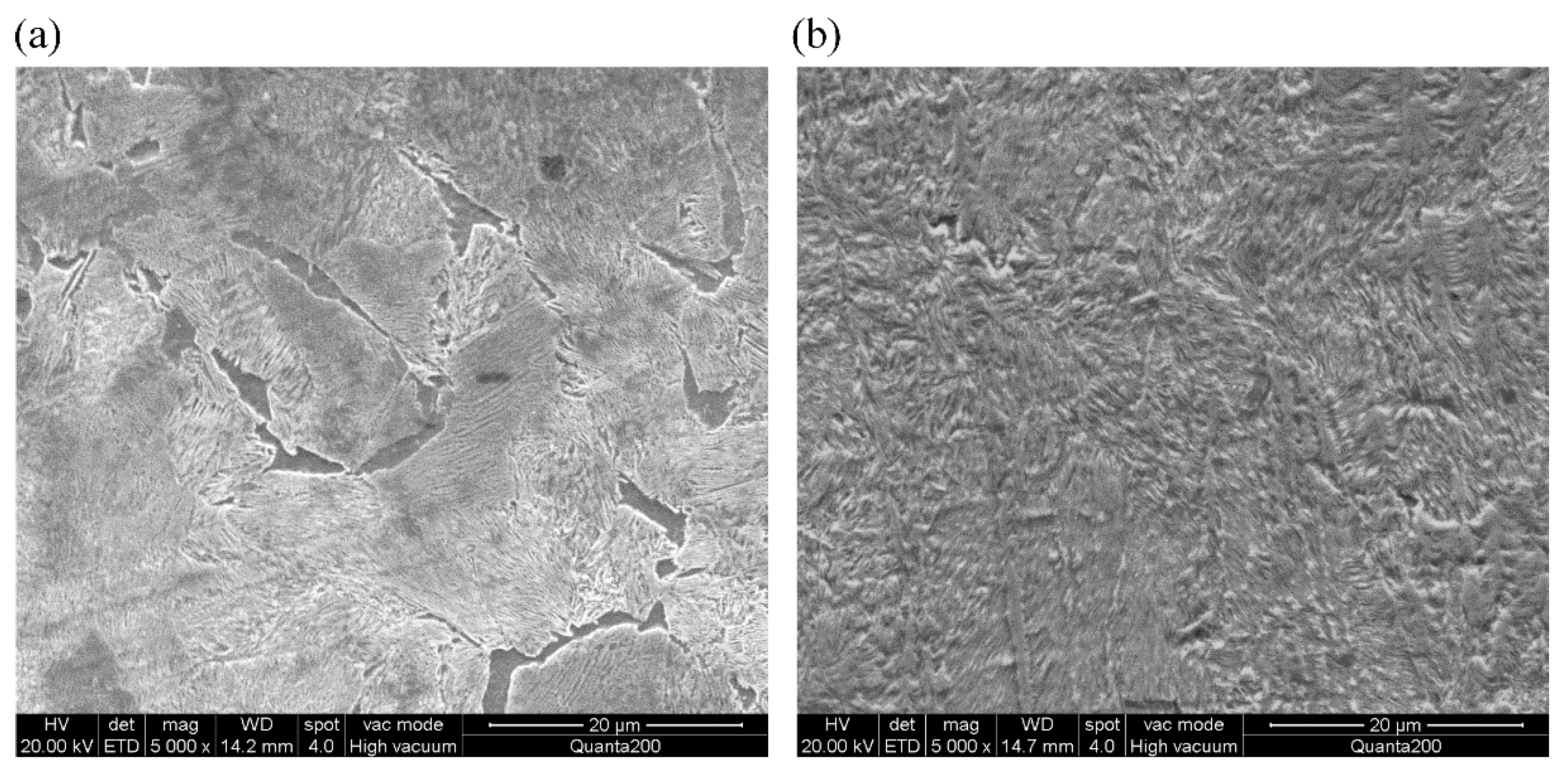 Metals 10 00472 g002