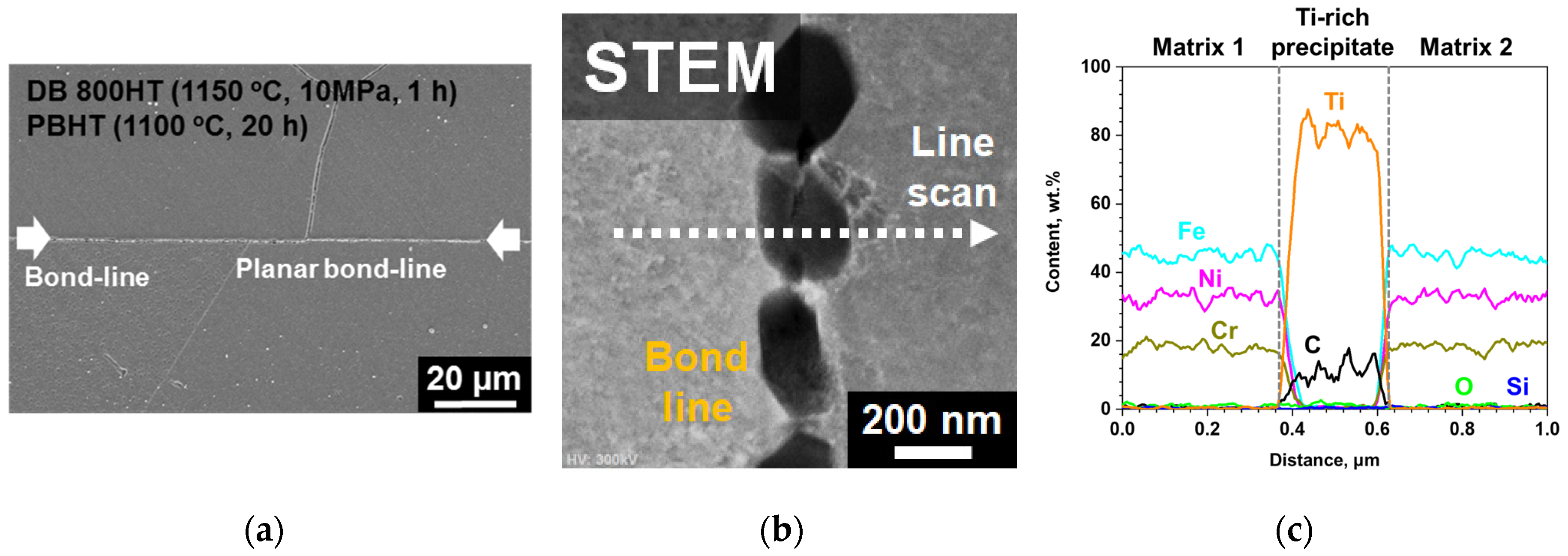 Metals 10 00480 g005