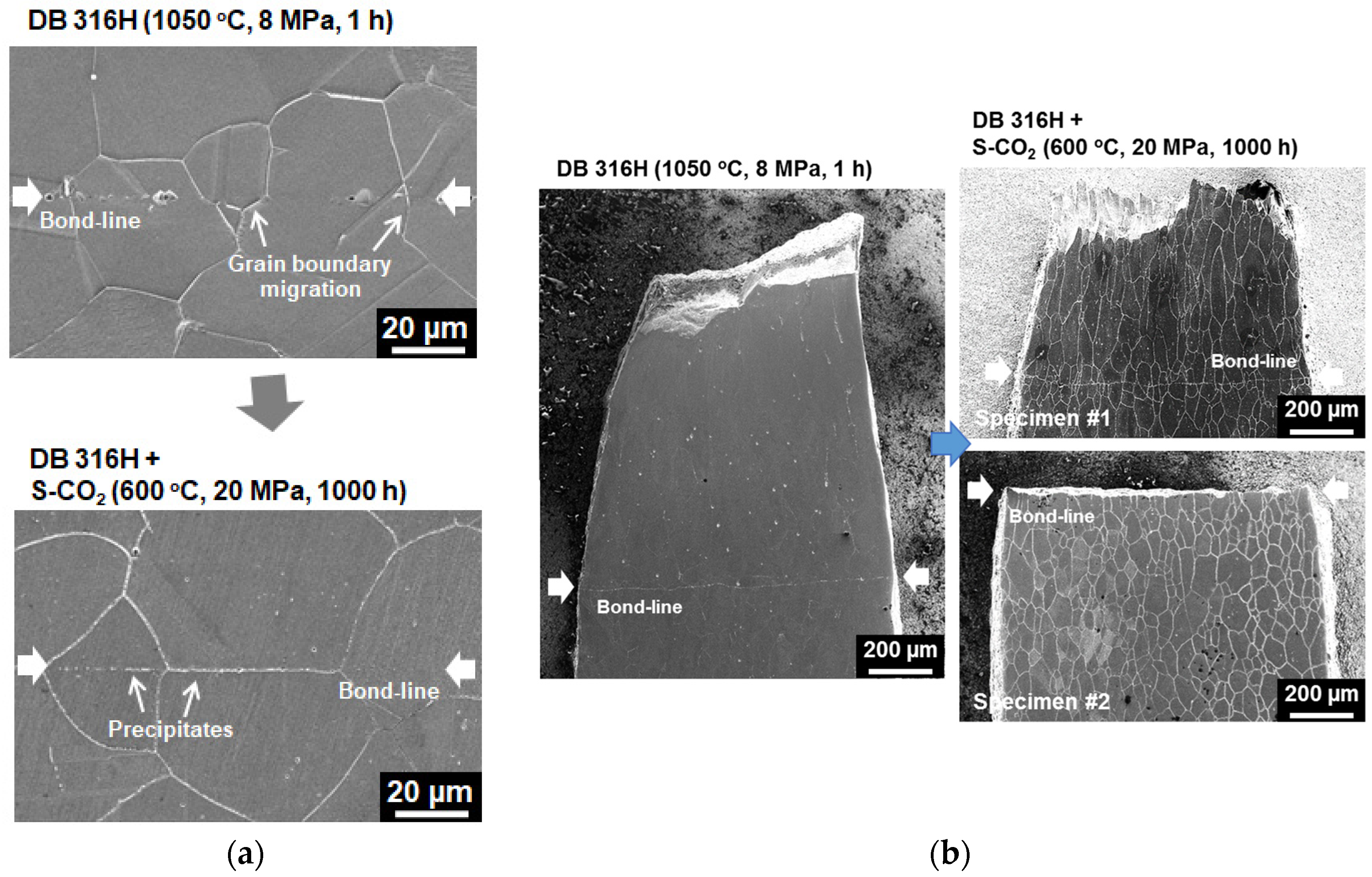 Metals 10 00480 g010