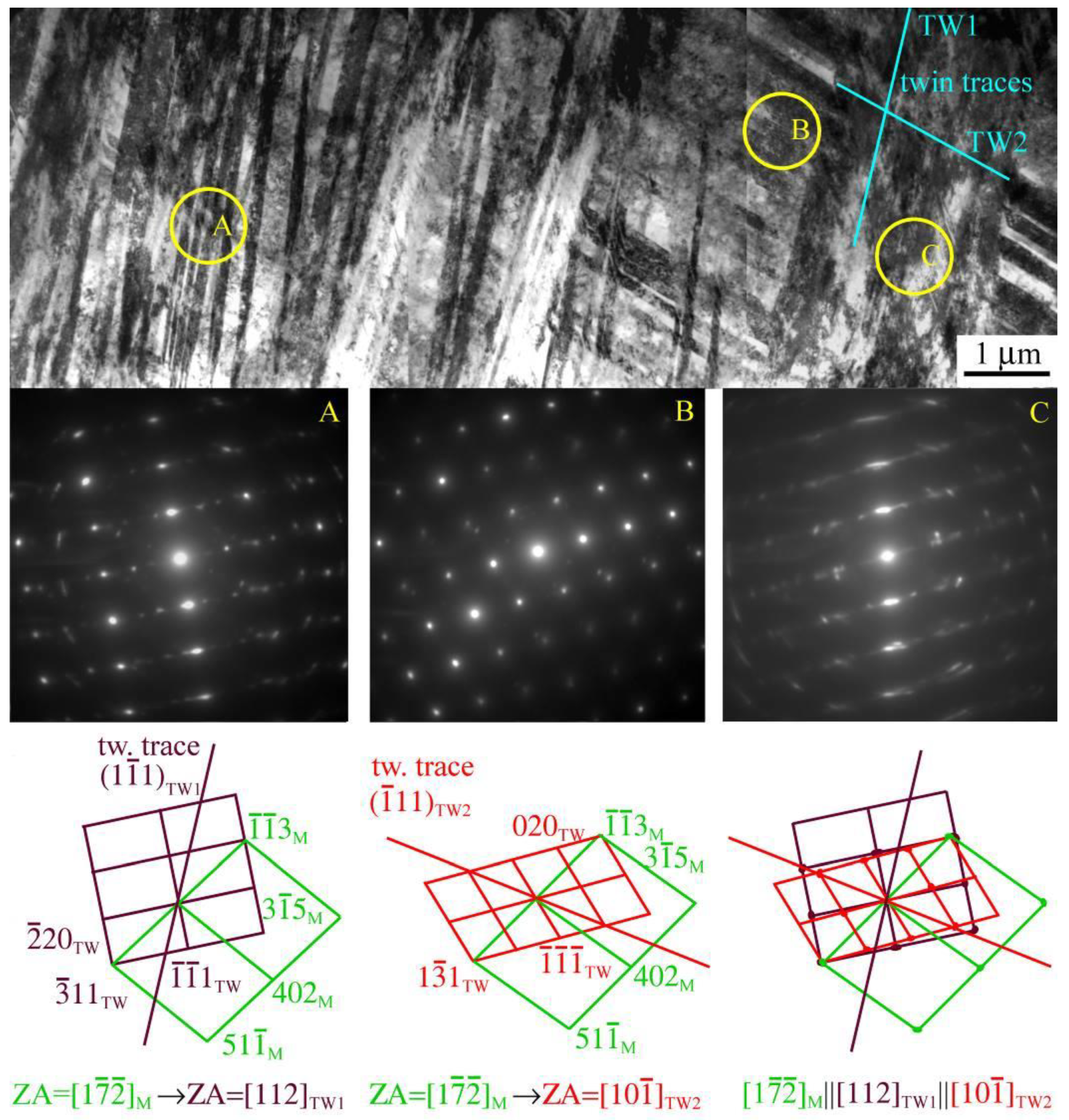 Metals 10 00493 g001