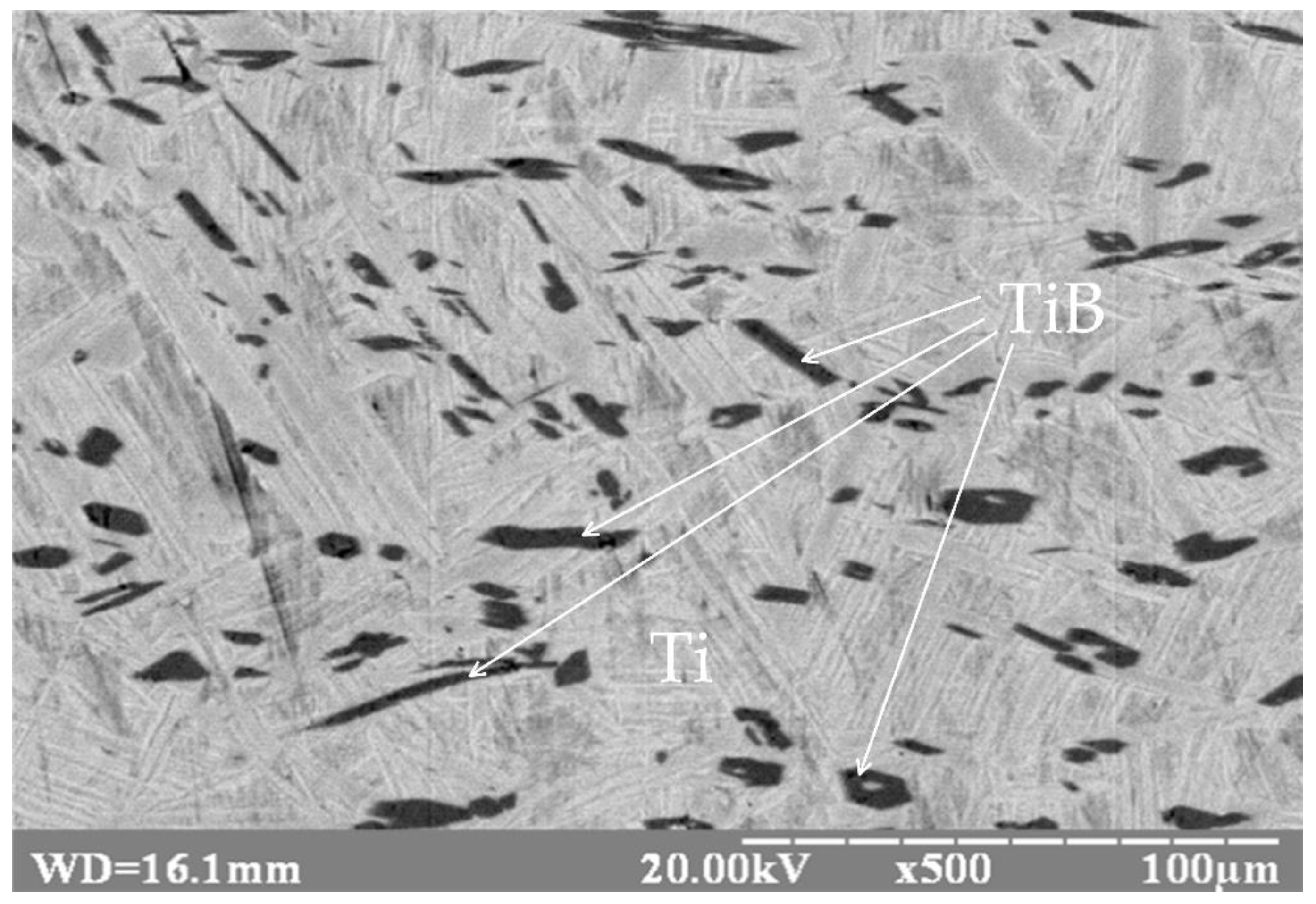 Metals 10 00522 g001