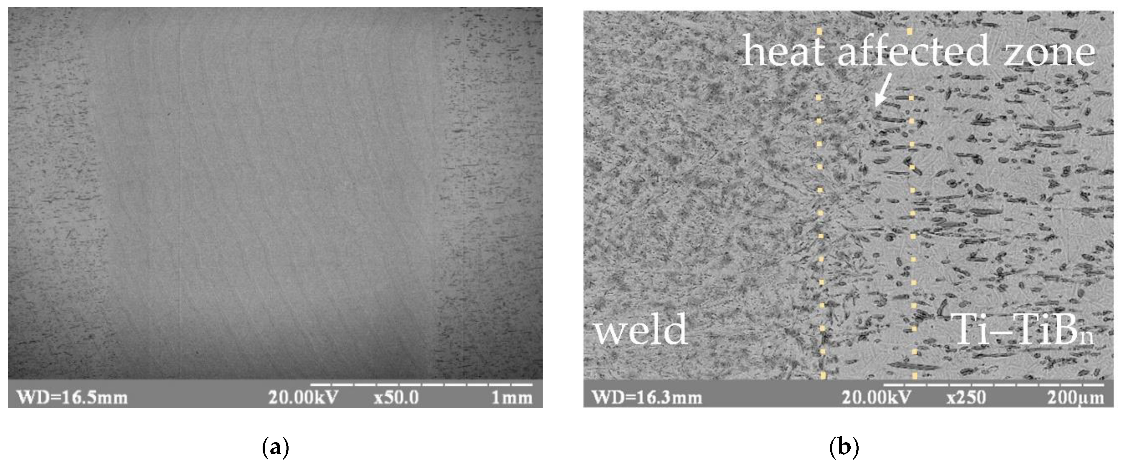 Metals 10 00522 g003