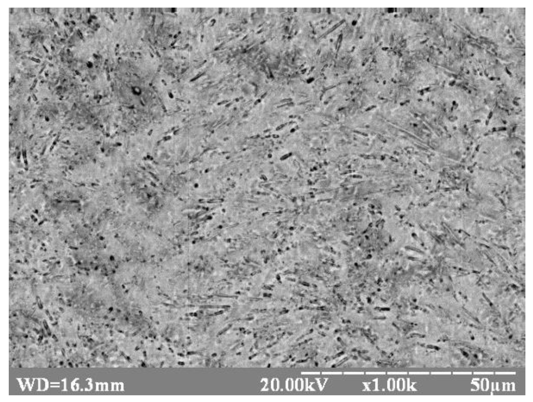 Metals 10 00522 g004