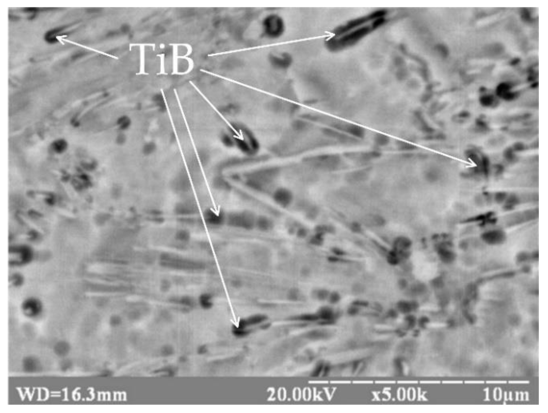 Metals 10 00522 g005