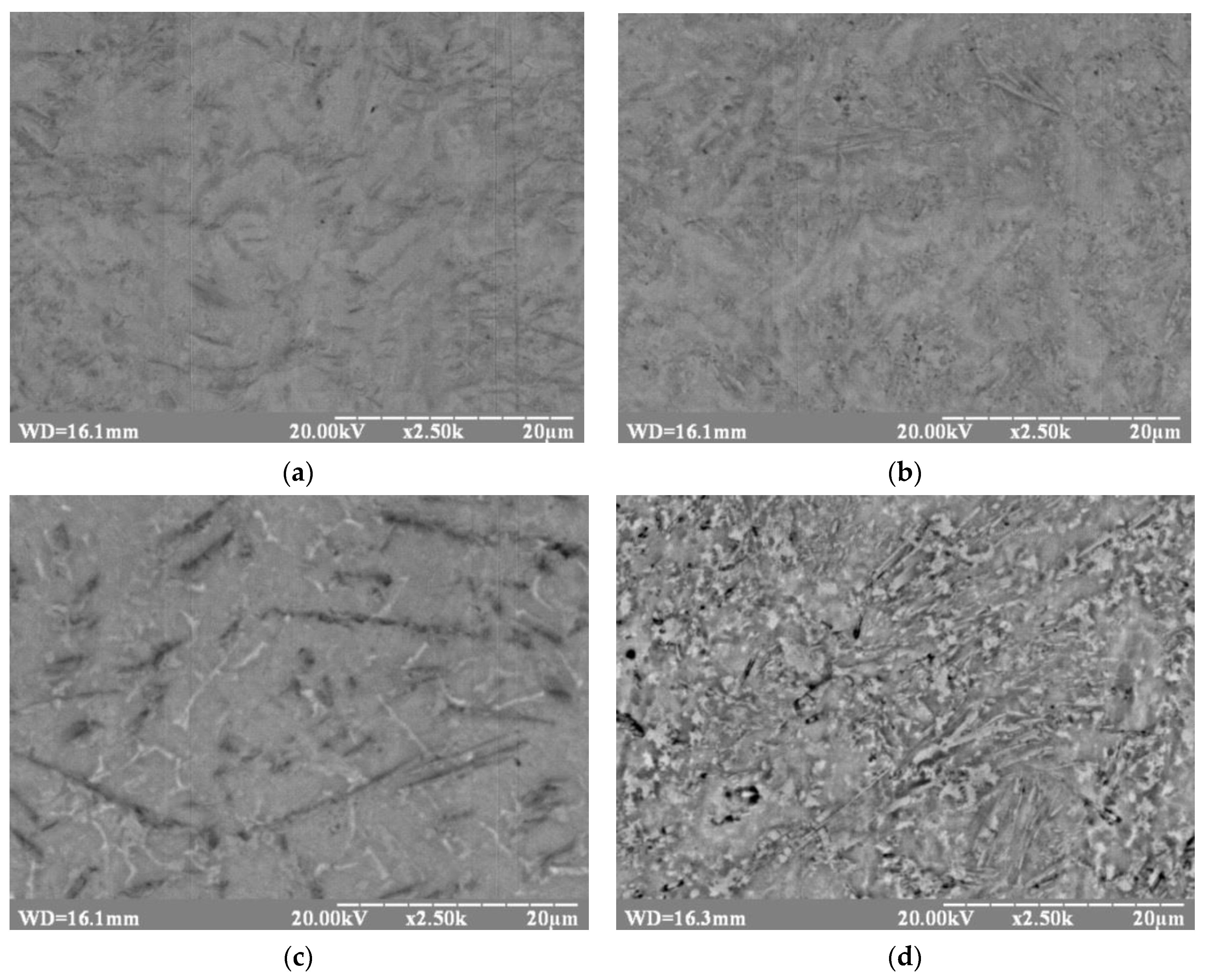 Metals 10 00522 g007