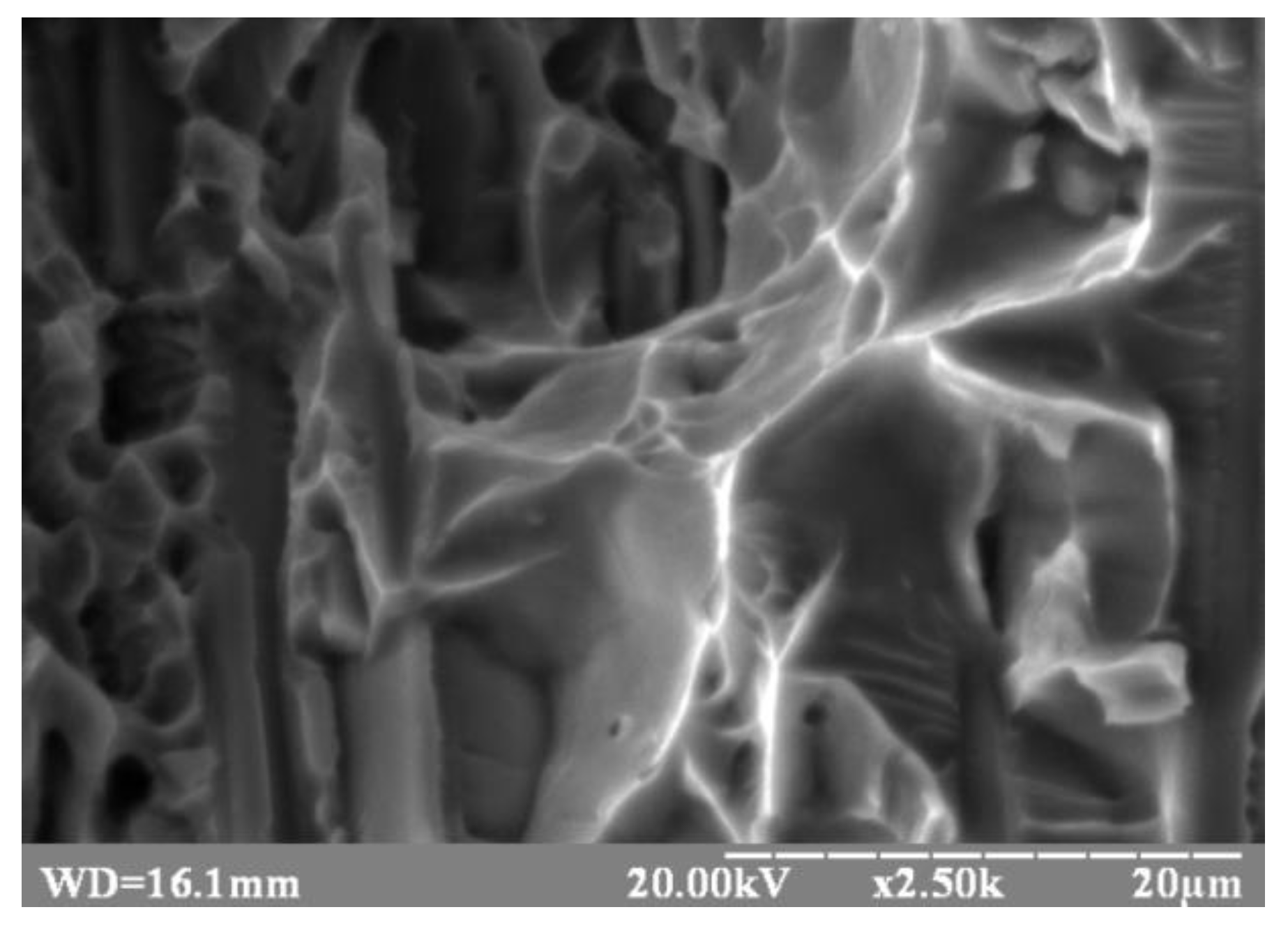 Metals 10 00522 g011