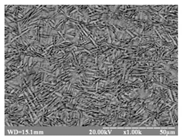 Metals 10 00522 i002