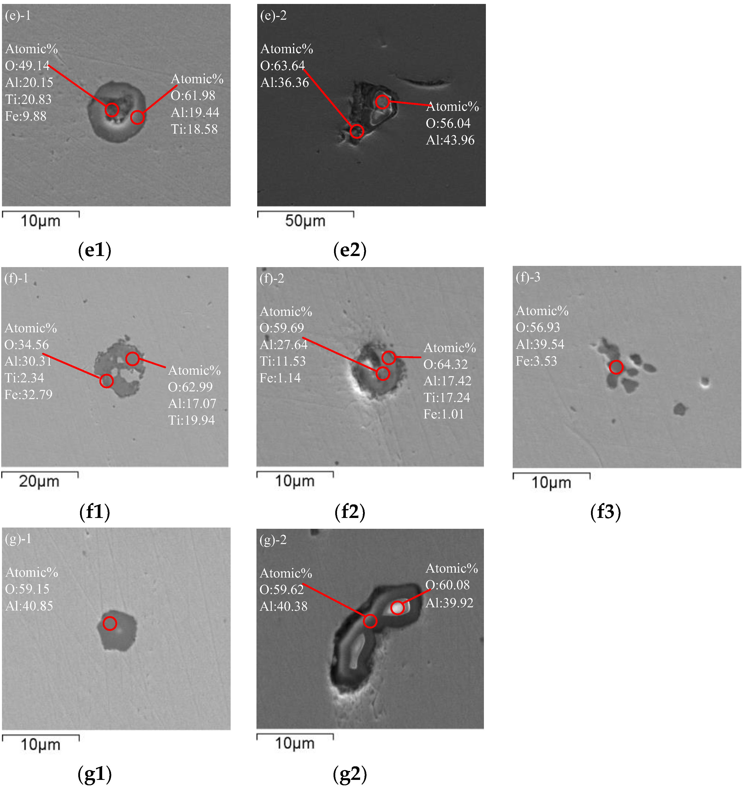 Metals 10 00528 g002b