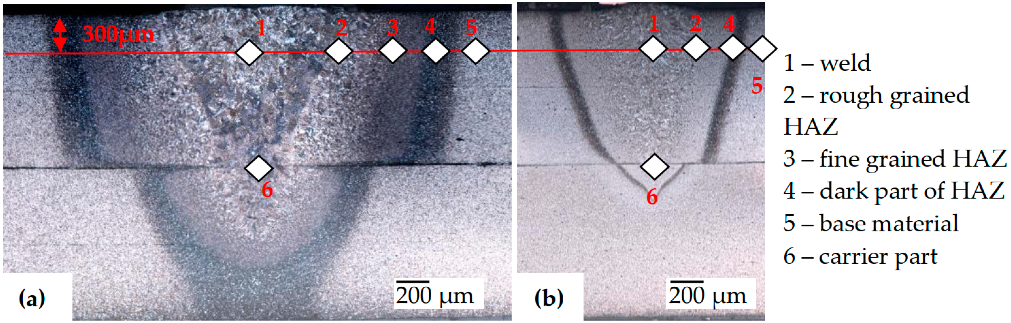 Metals 10 00533 g002