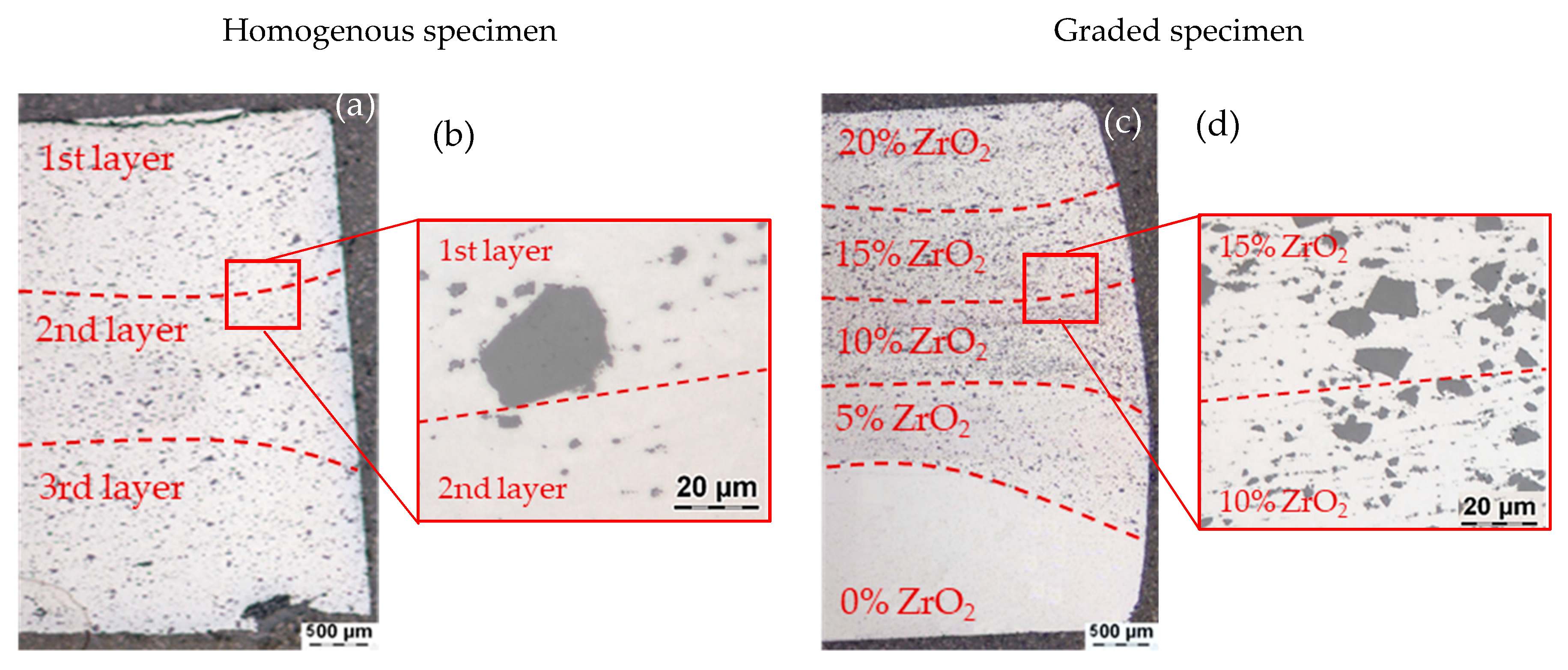 Metals 10 00543 g007