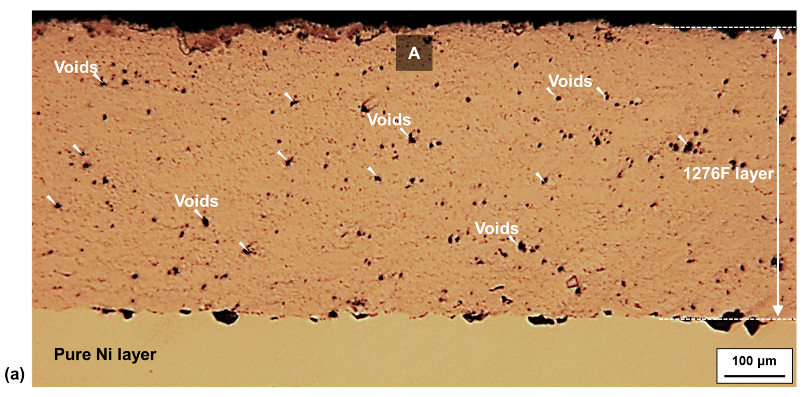 Metals 10 00548 g004a