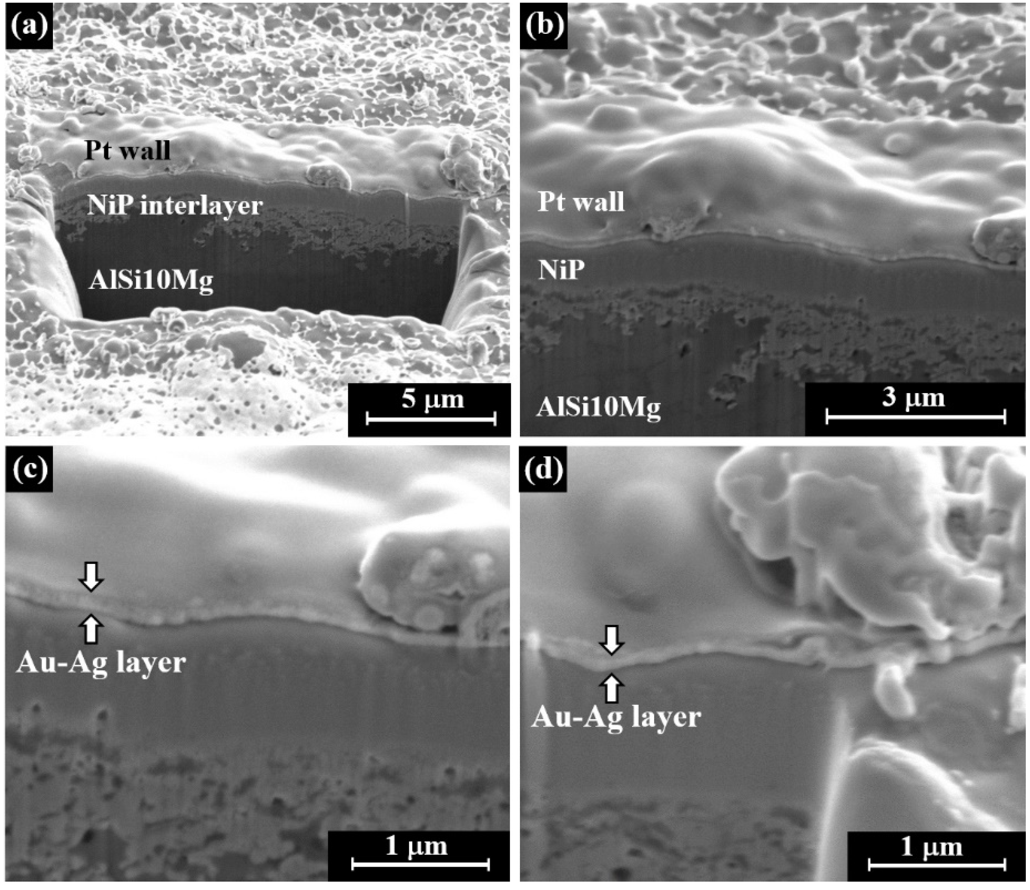 Metals 10 00557 g010