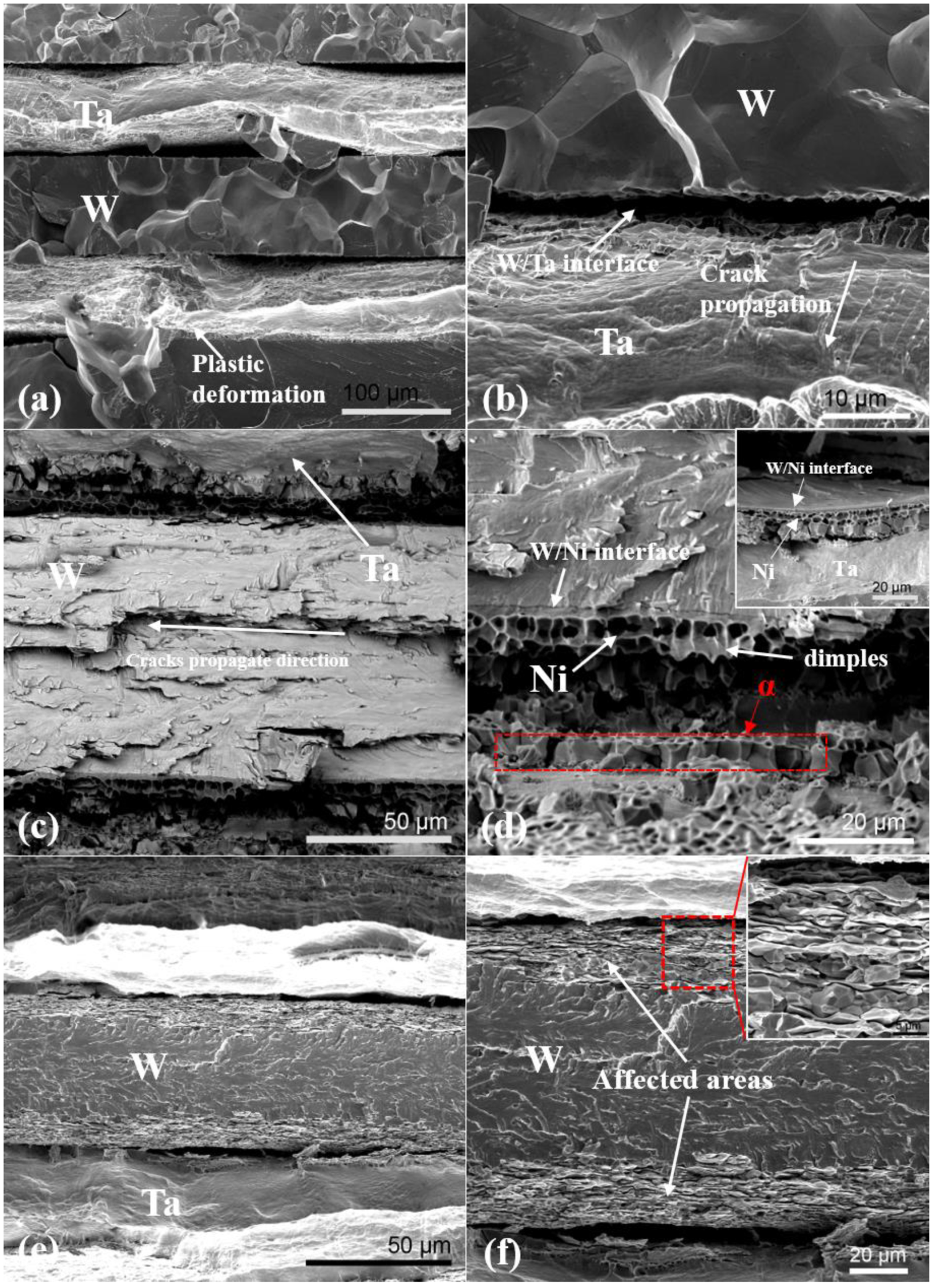Metals 10 00558 g004
