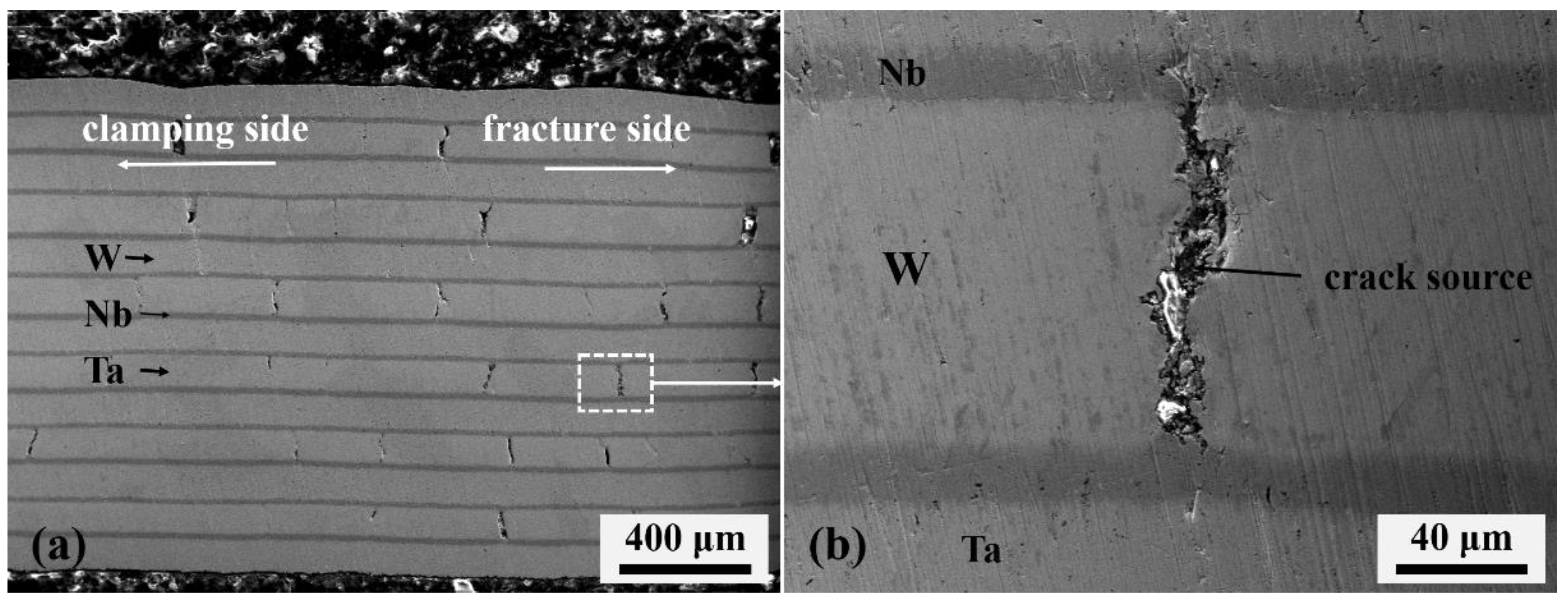 Metals 10 00558 g006