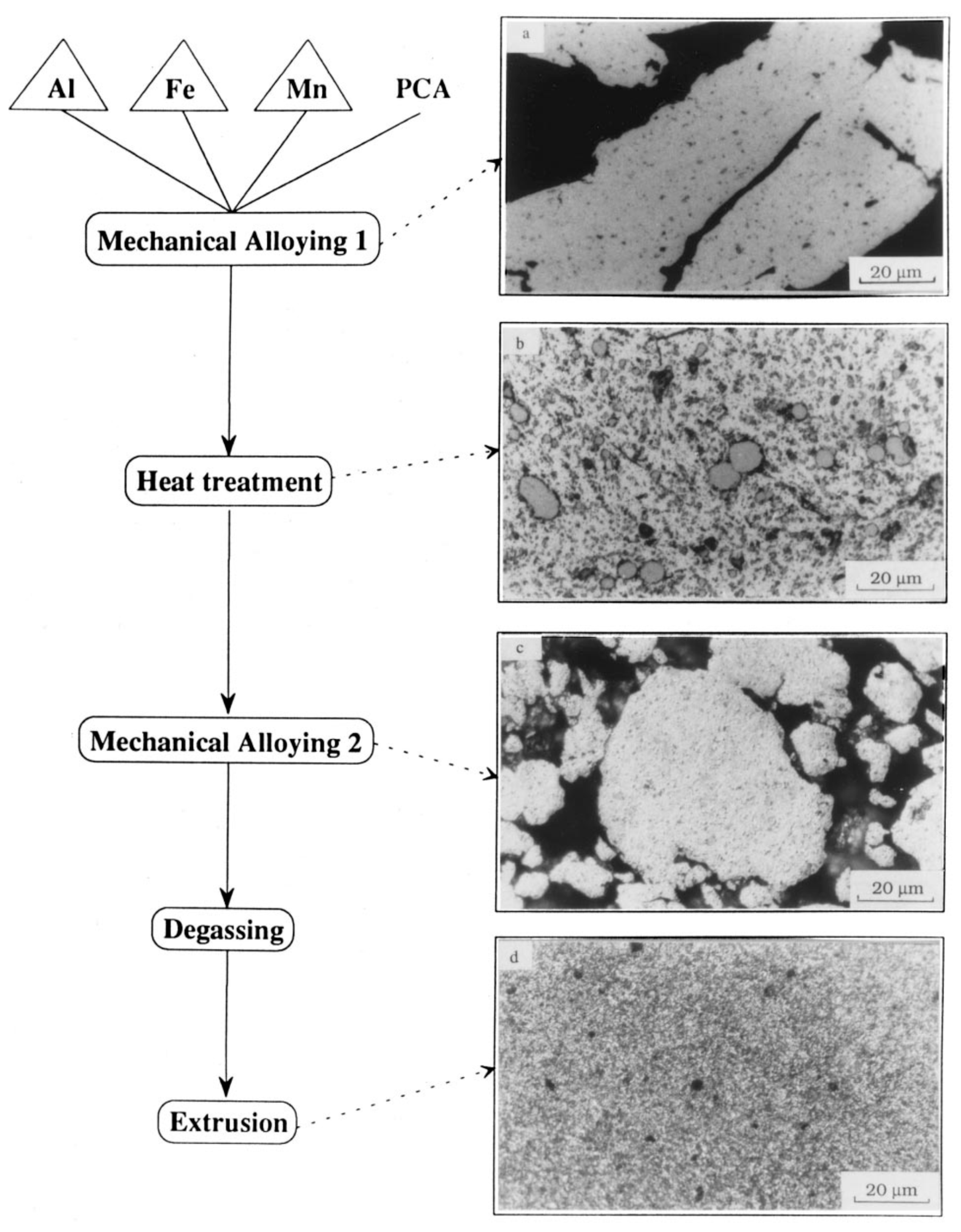 Metals 10 00562 g001