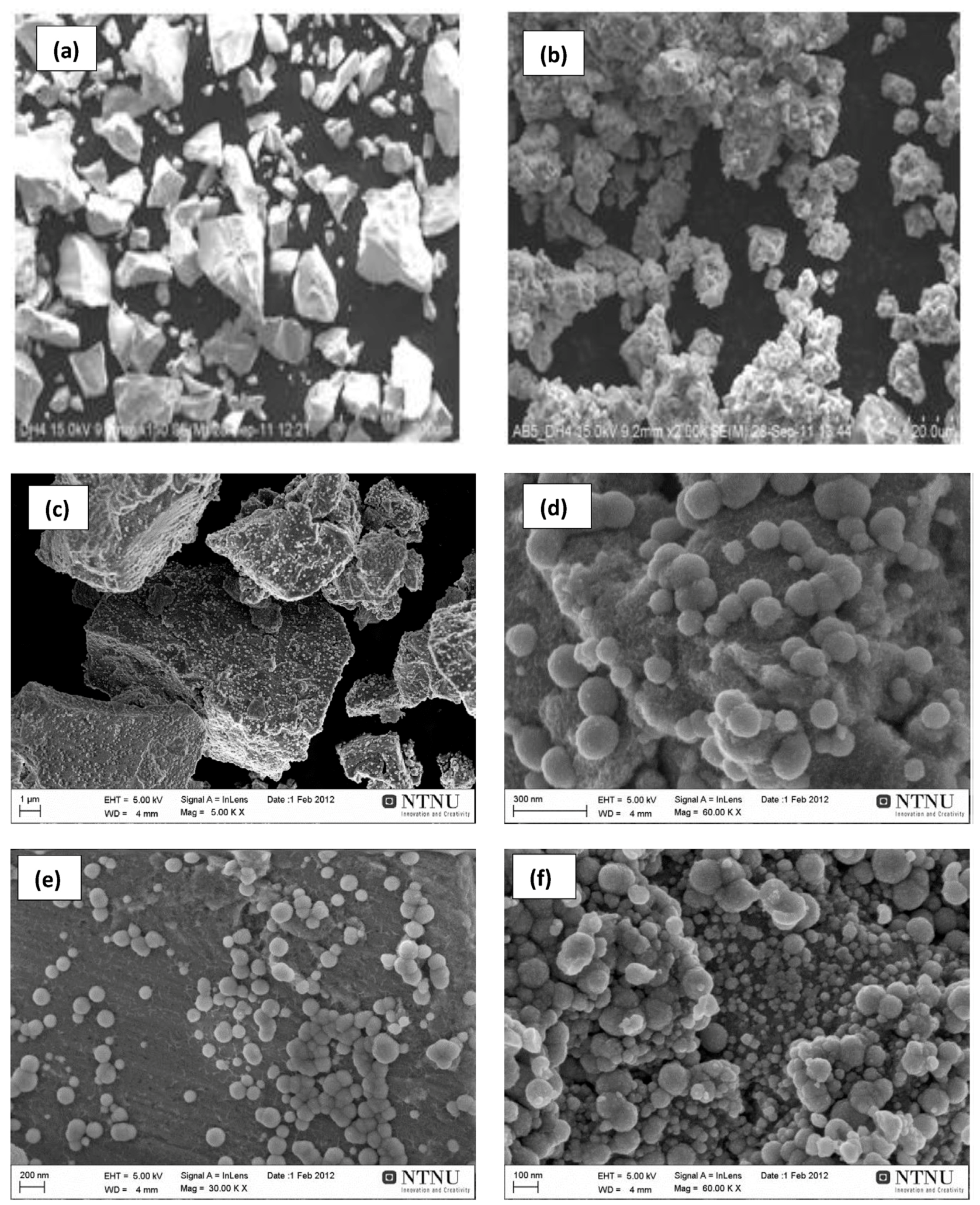 Metals 10 00562 g011