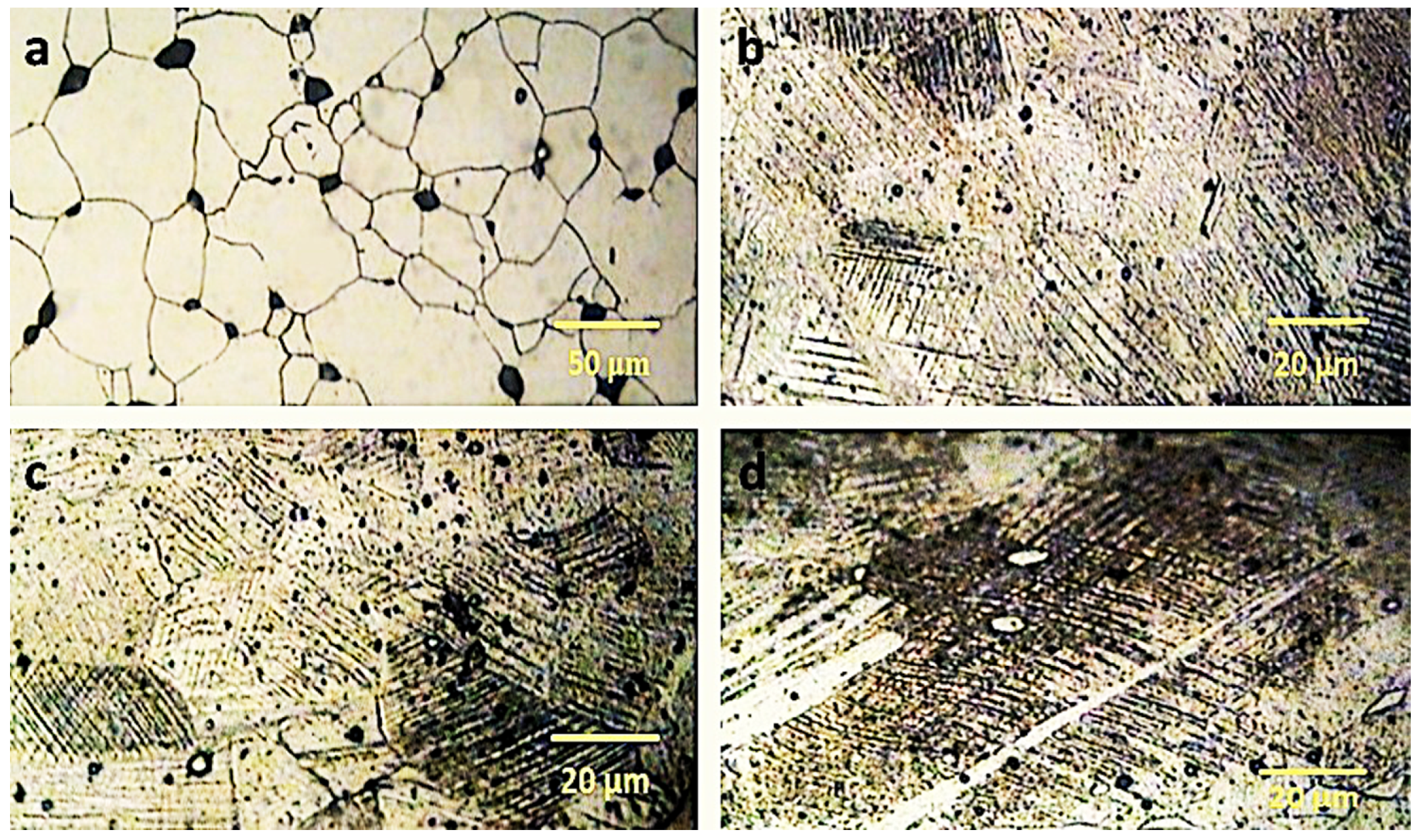 Metals 10 00568 g001 Metals 10 00568 g001