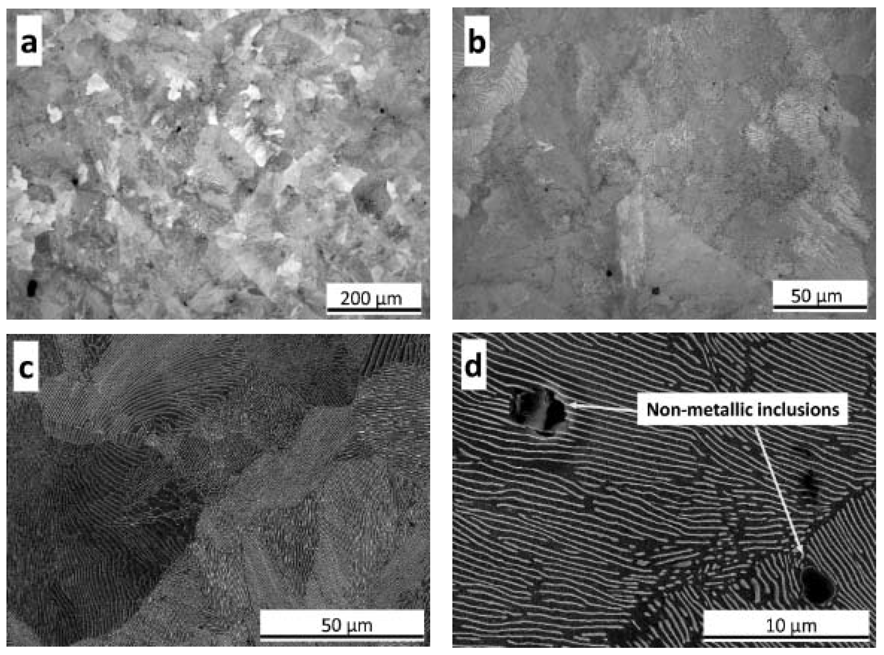 Metals 10 00574 g003