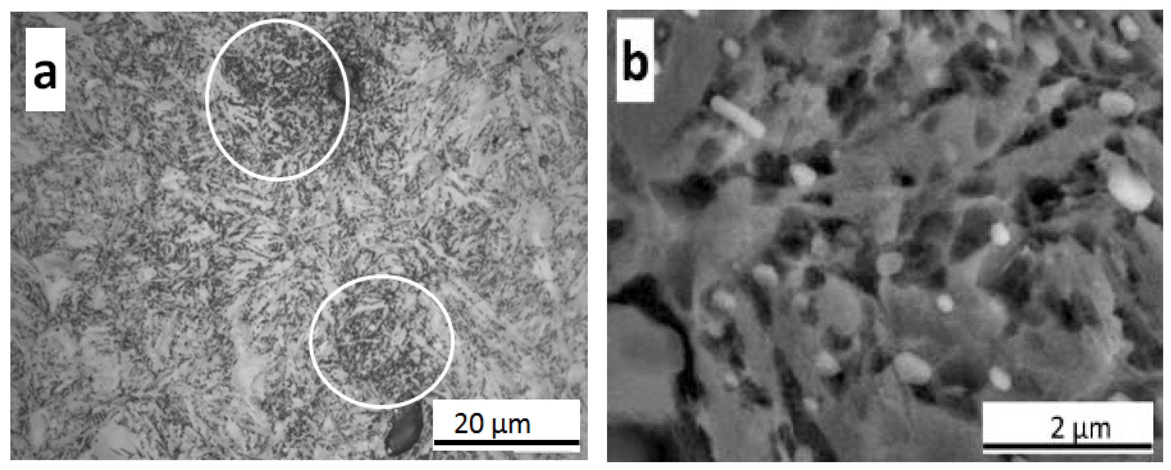 Metals 10 00574 g008