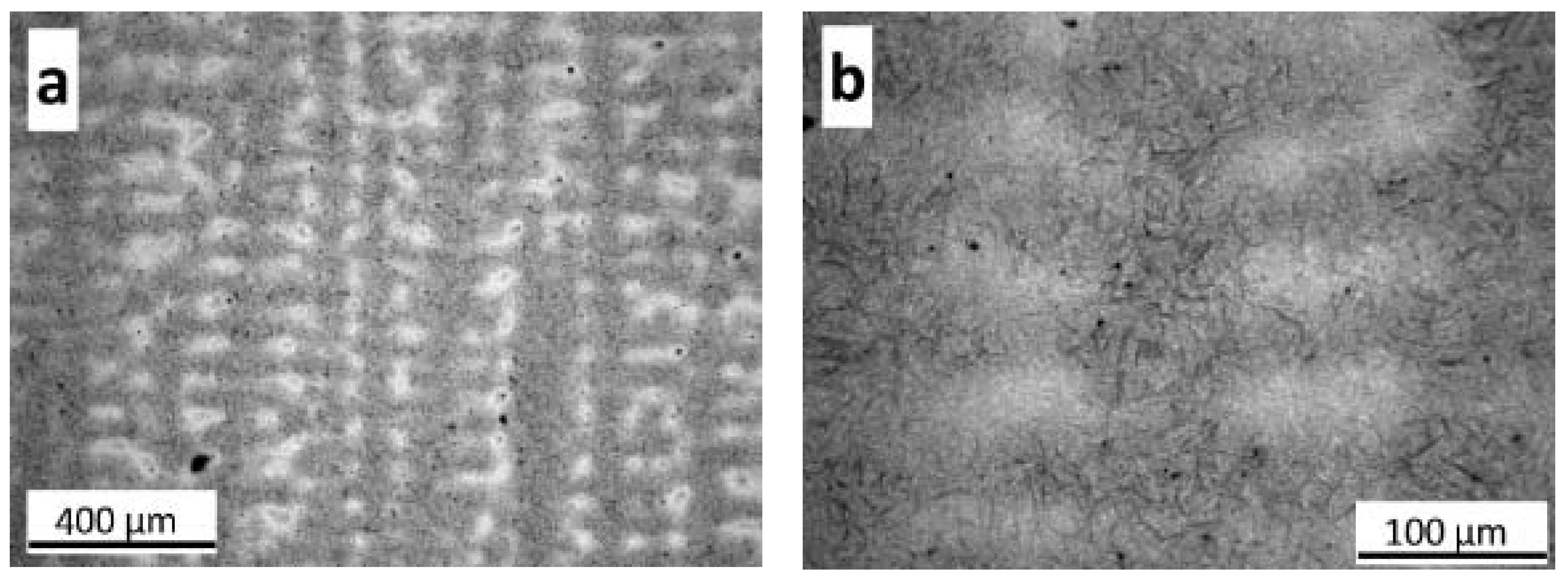Metals 10 00574 g010