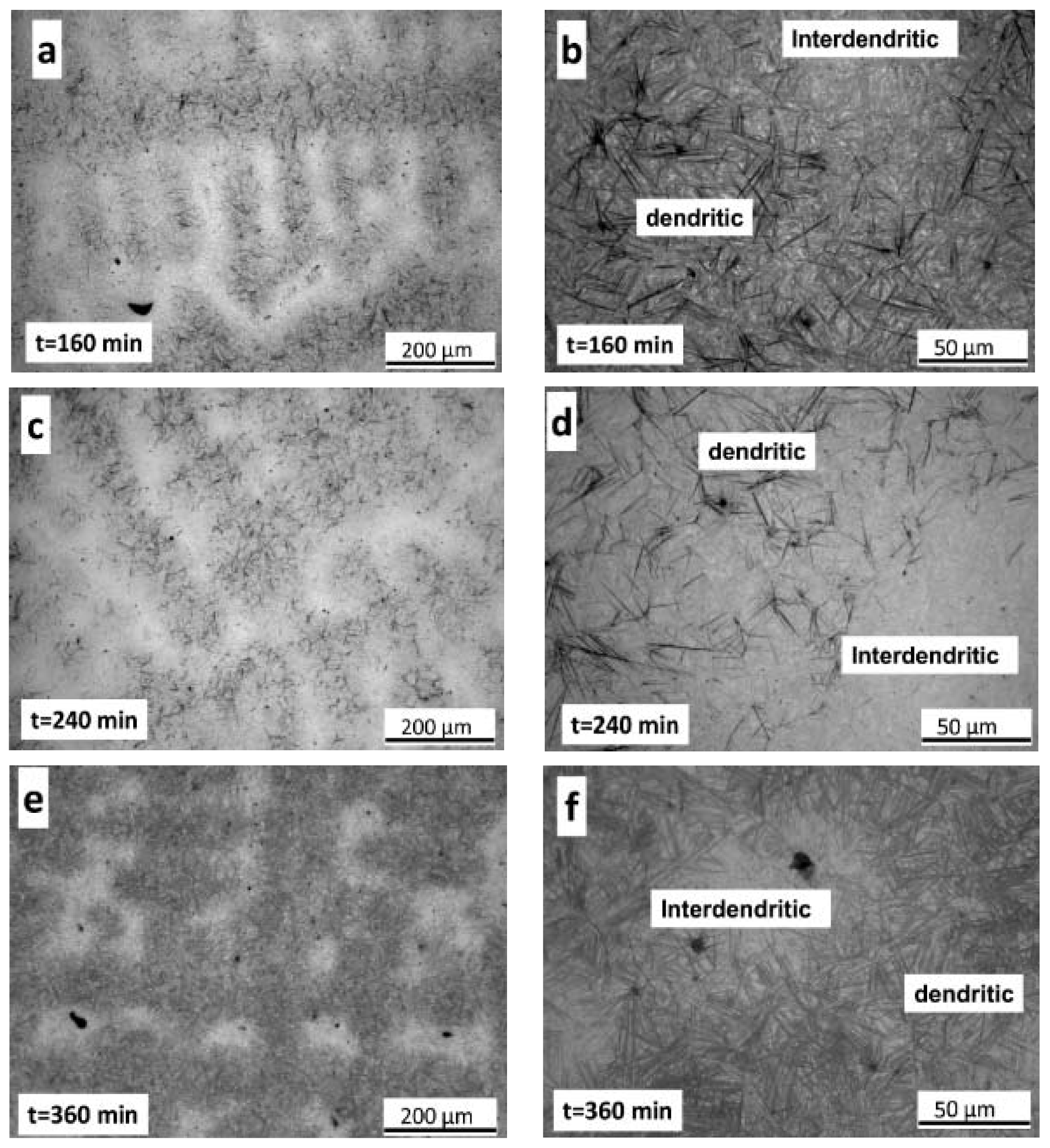 Metals 10 00574 g014
