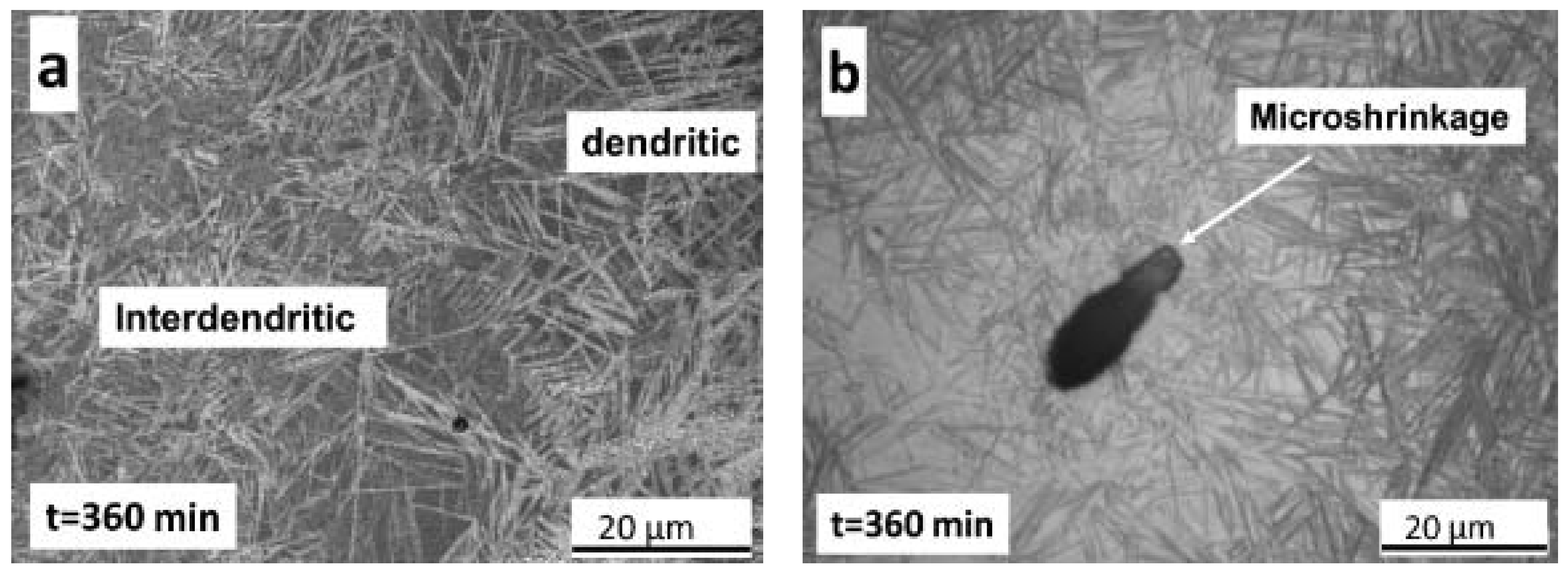 Metals 10 00574 g015