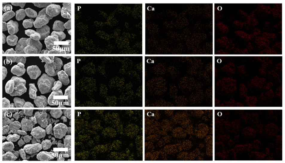 Metals 10 00581 g002