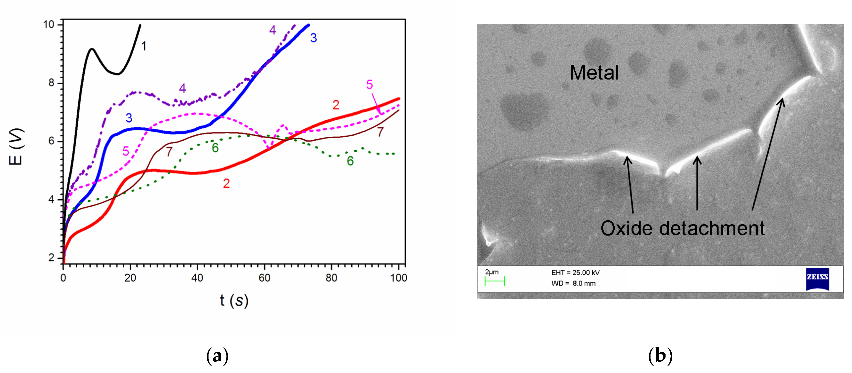 Metals 10 00583 g001