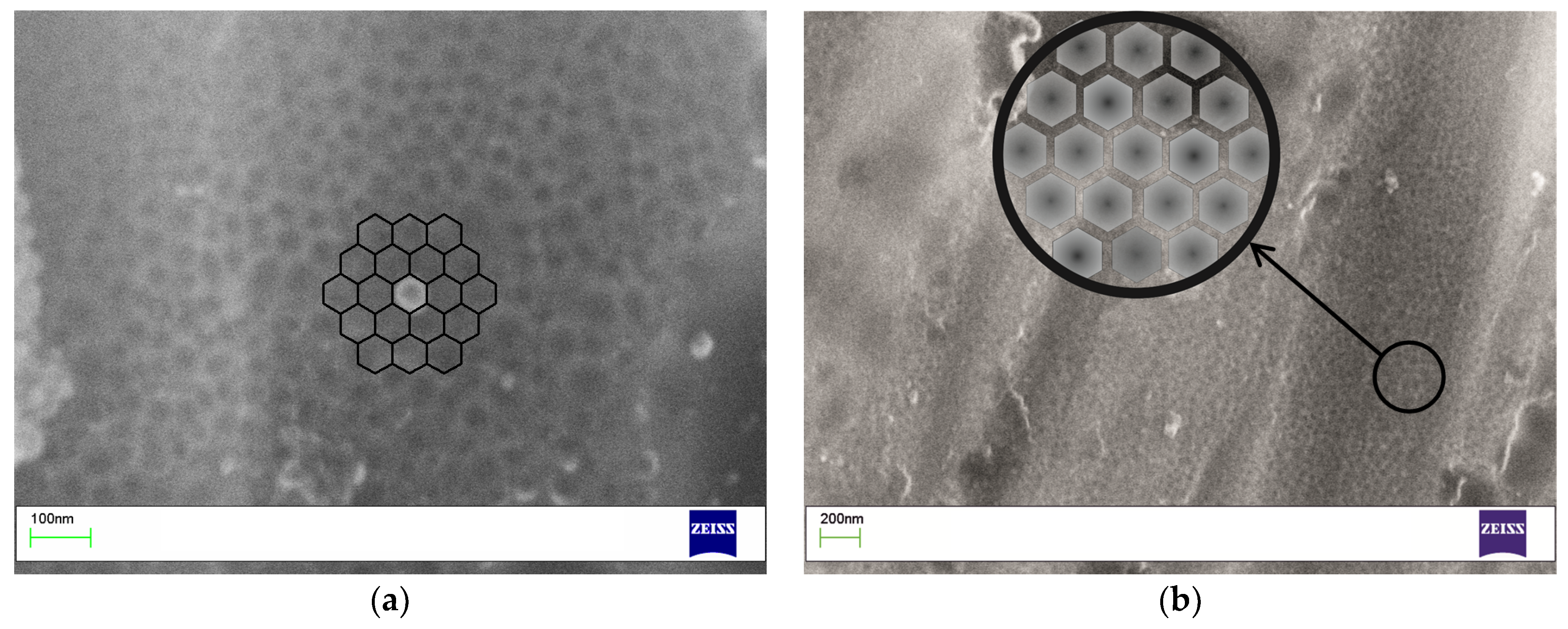 Metals 10 00583 g002