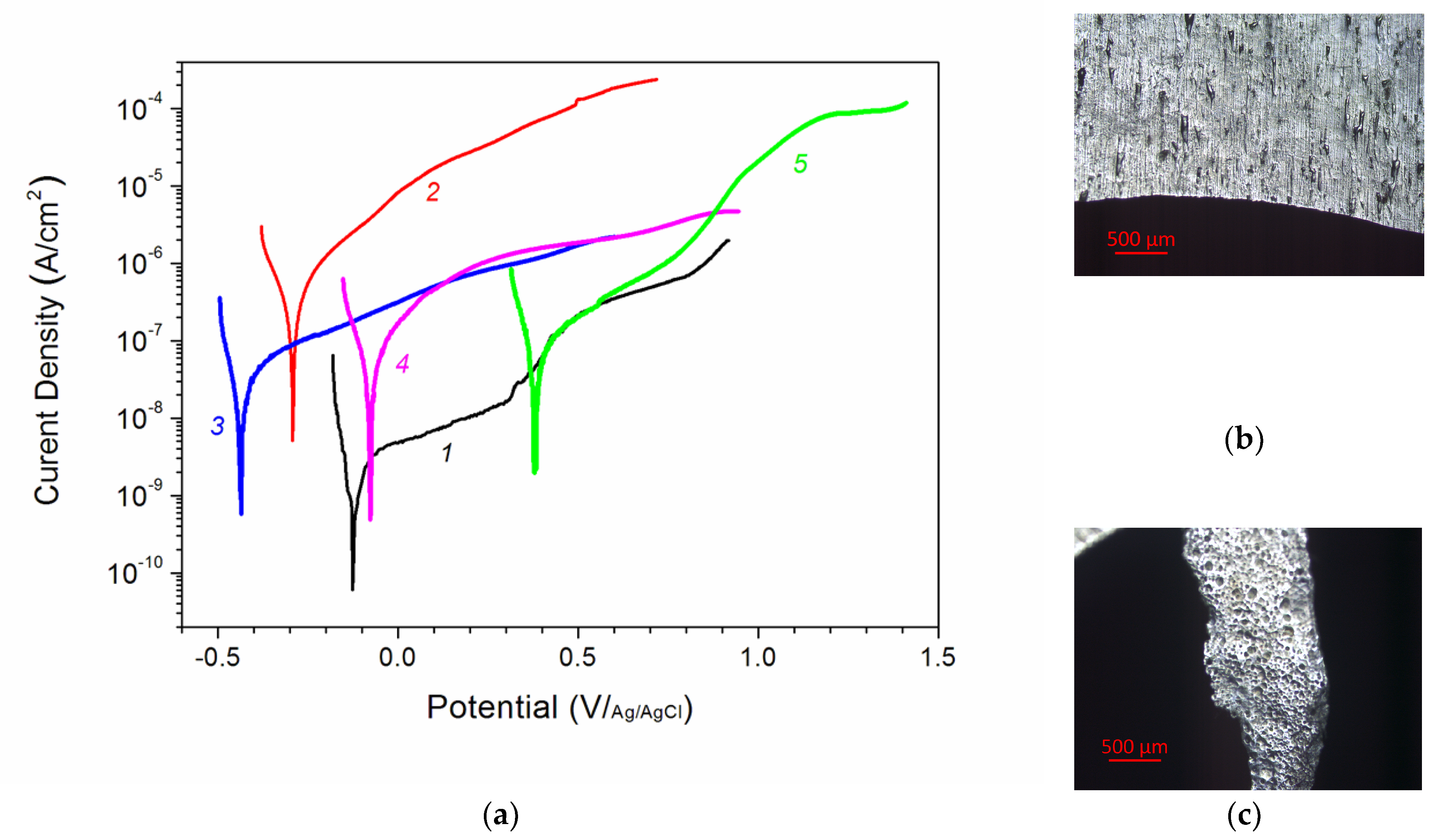 Metals 10 00583 g003