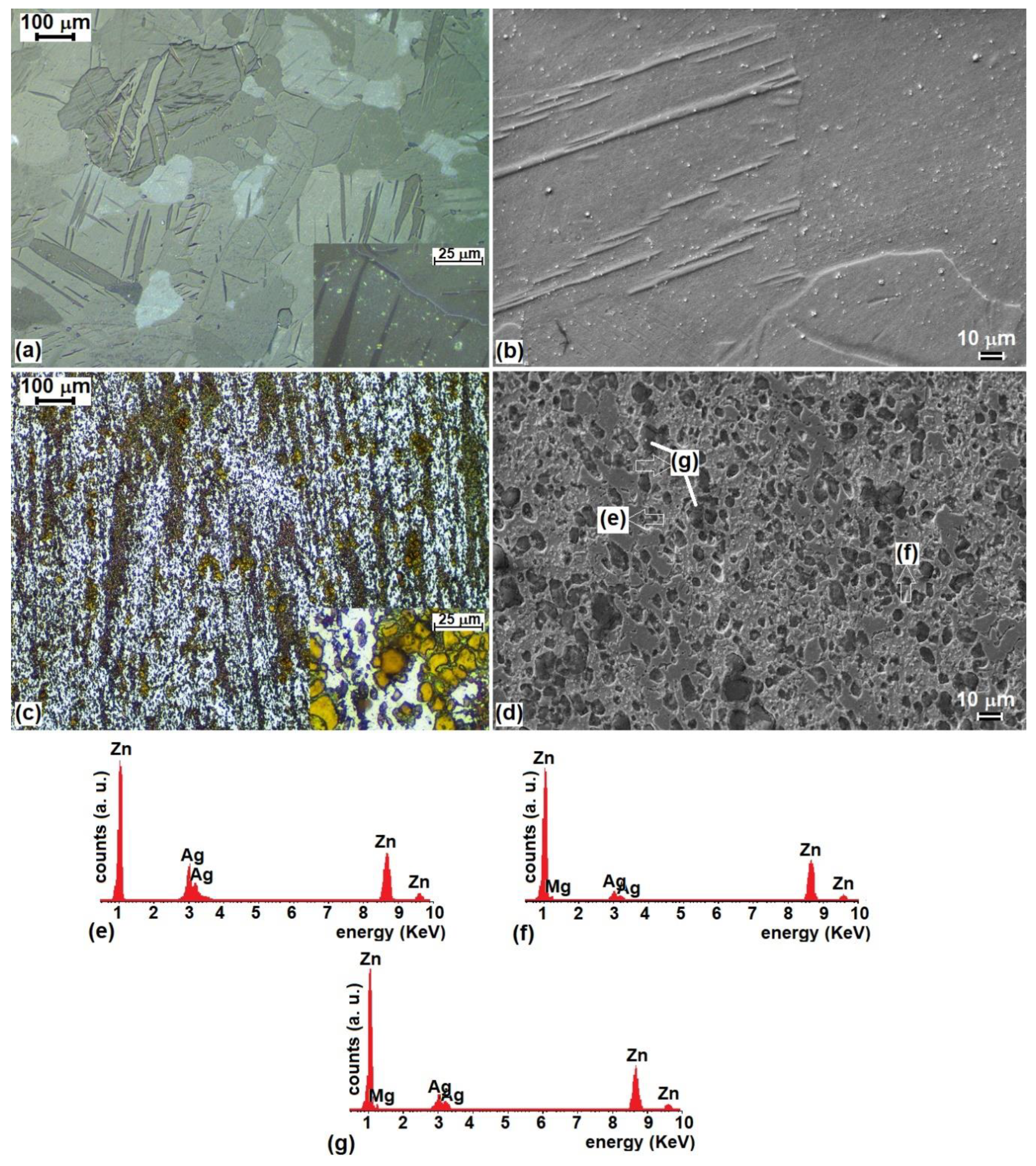 Metals 10 00586 g005