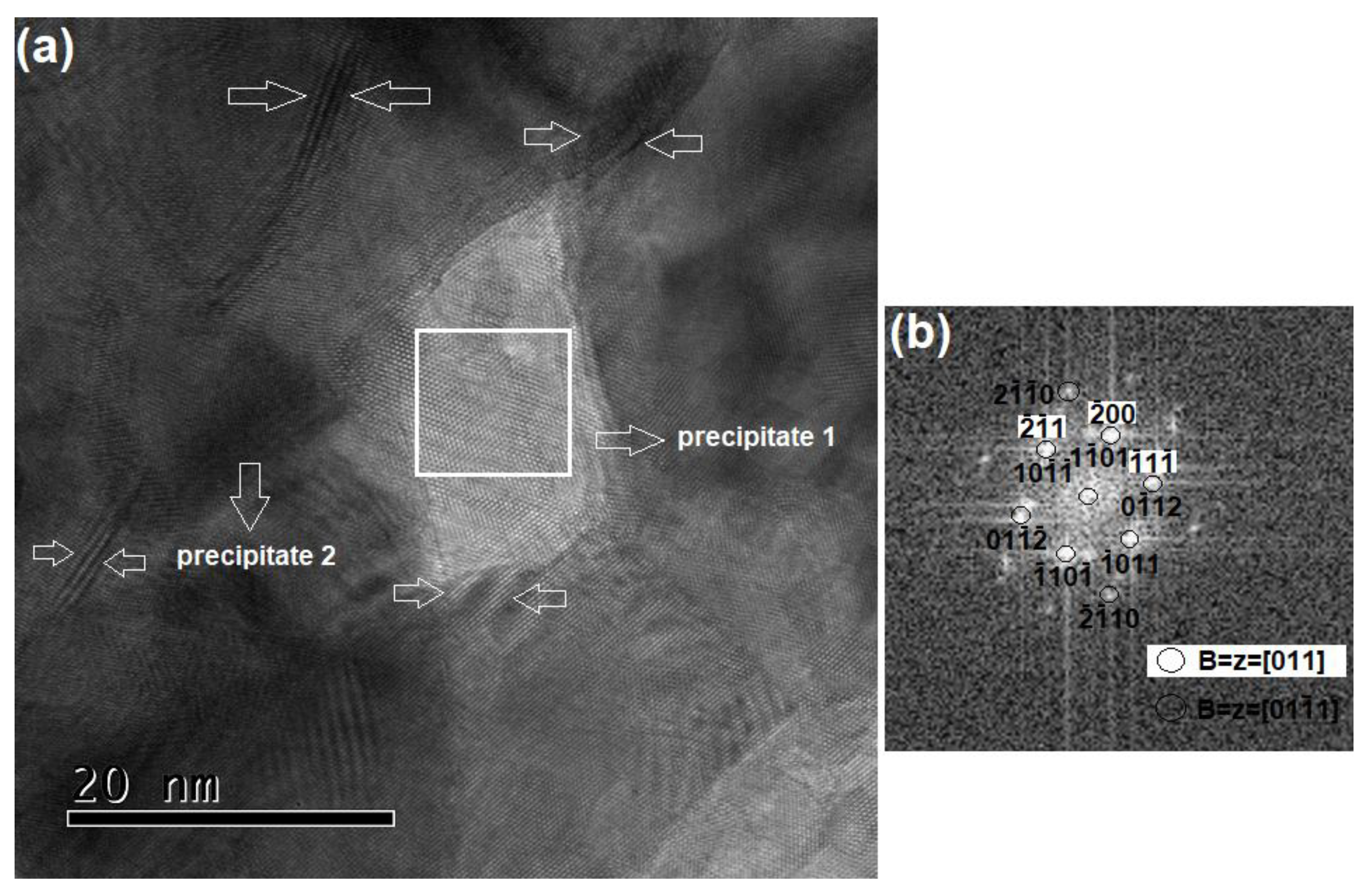 Metals 10 00586 g007