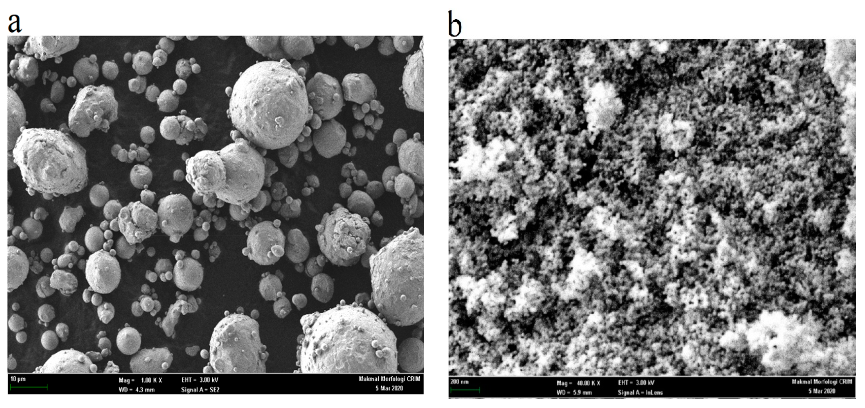 Metals 10 00595 g001