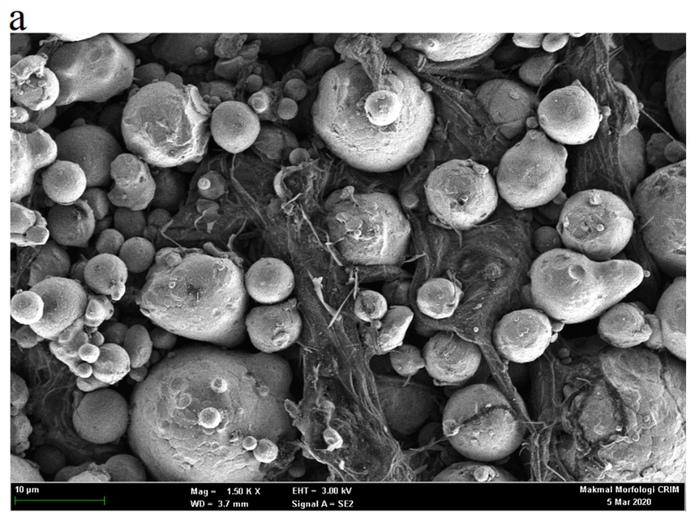 Metals 10 00595 g015a