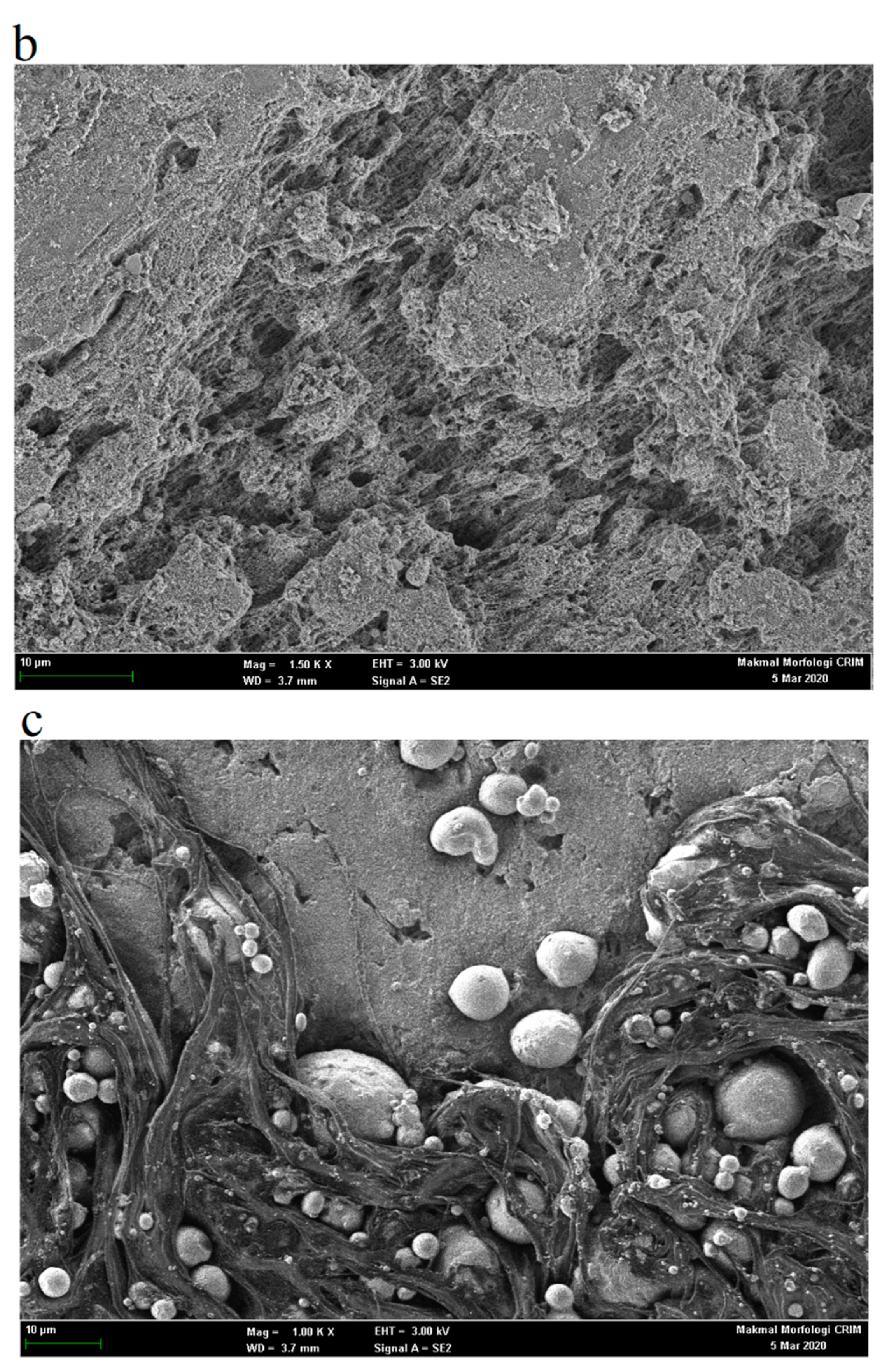 Metals 10 00595 g015b