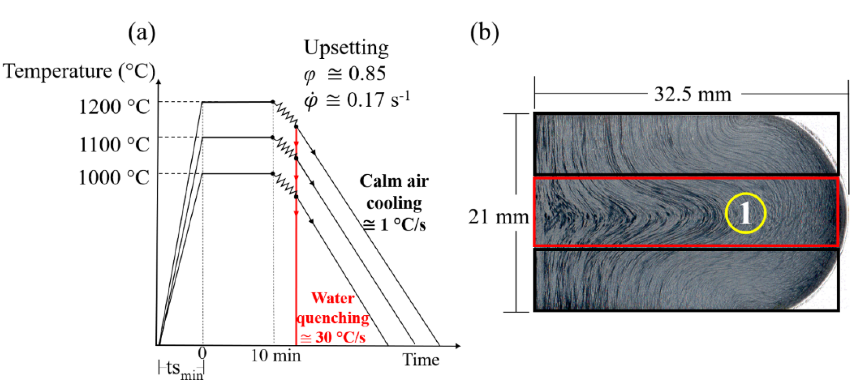 Metals 10 00601 g002