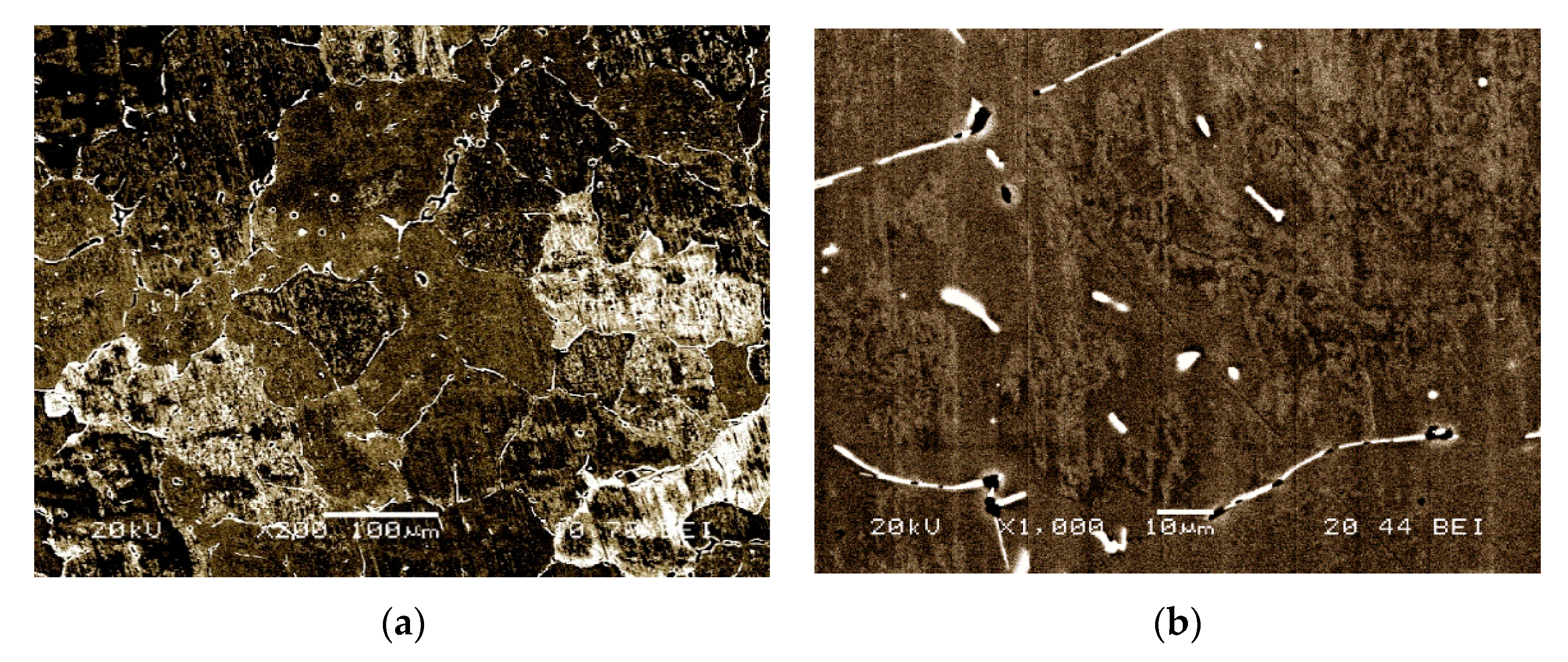 Metals 10 00620 g003