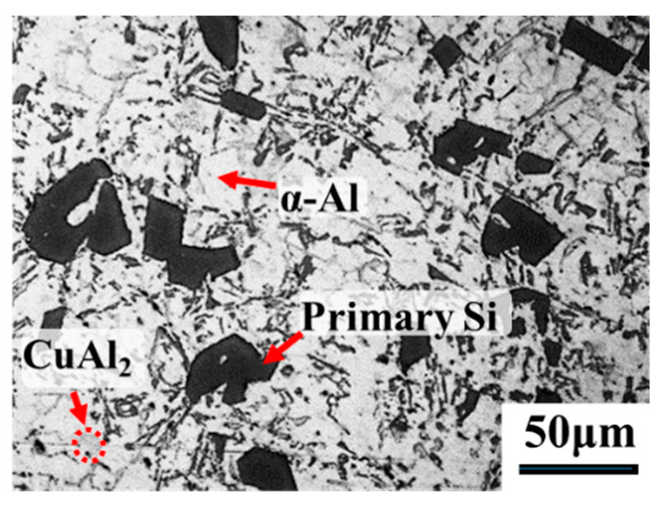 Metals 10 00625 g003