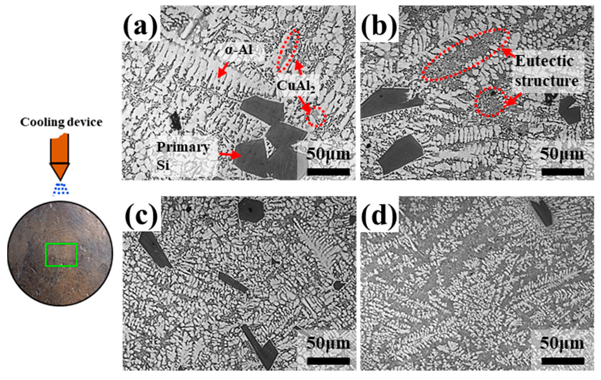 Metals 10 00625 g004